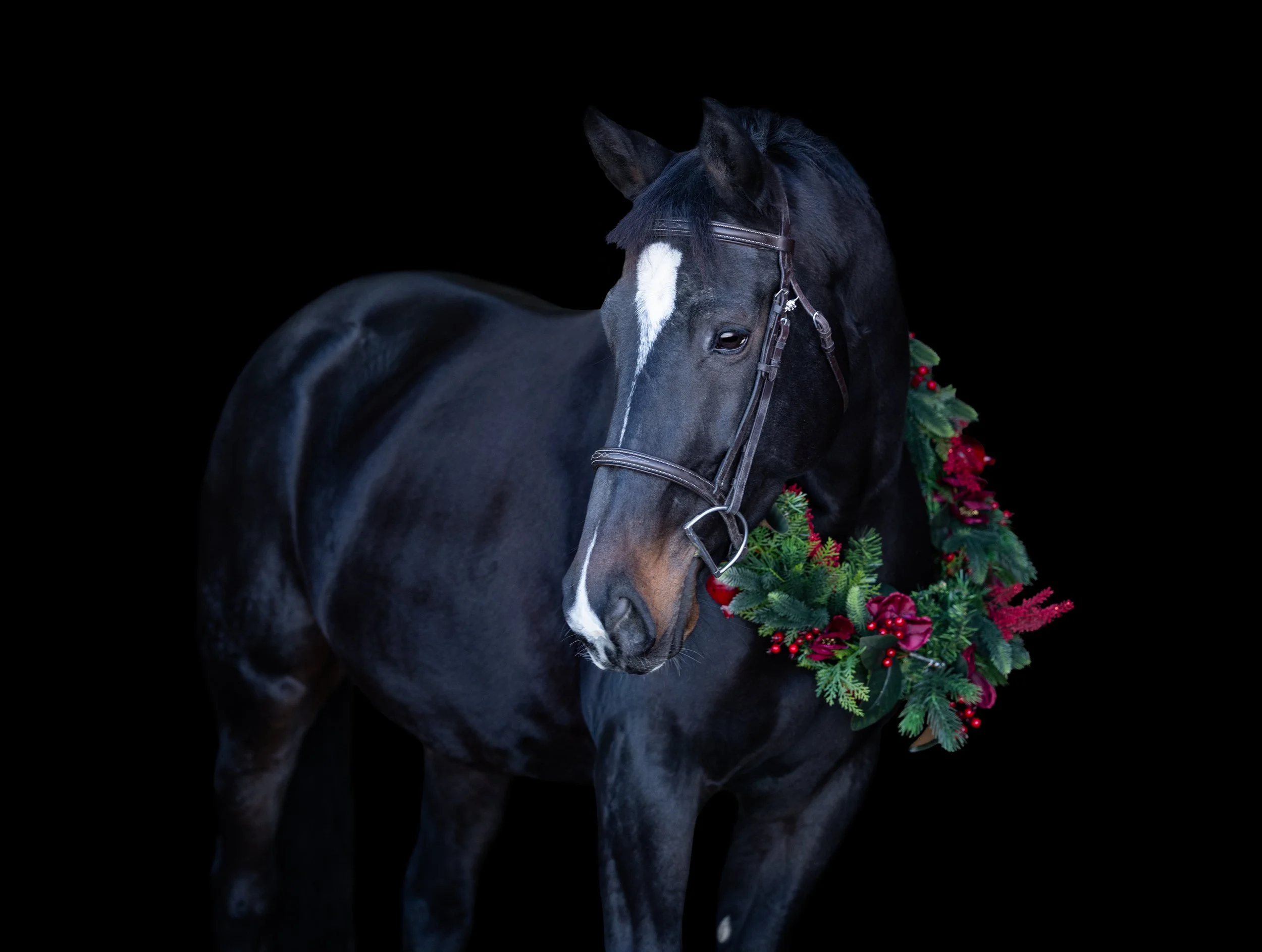 Lilah Christmas 2025-2.jpg