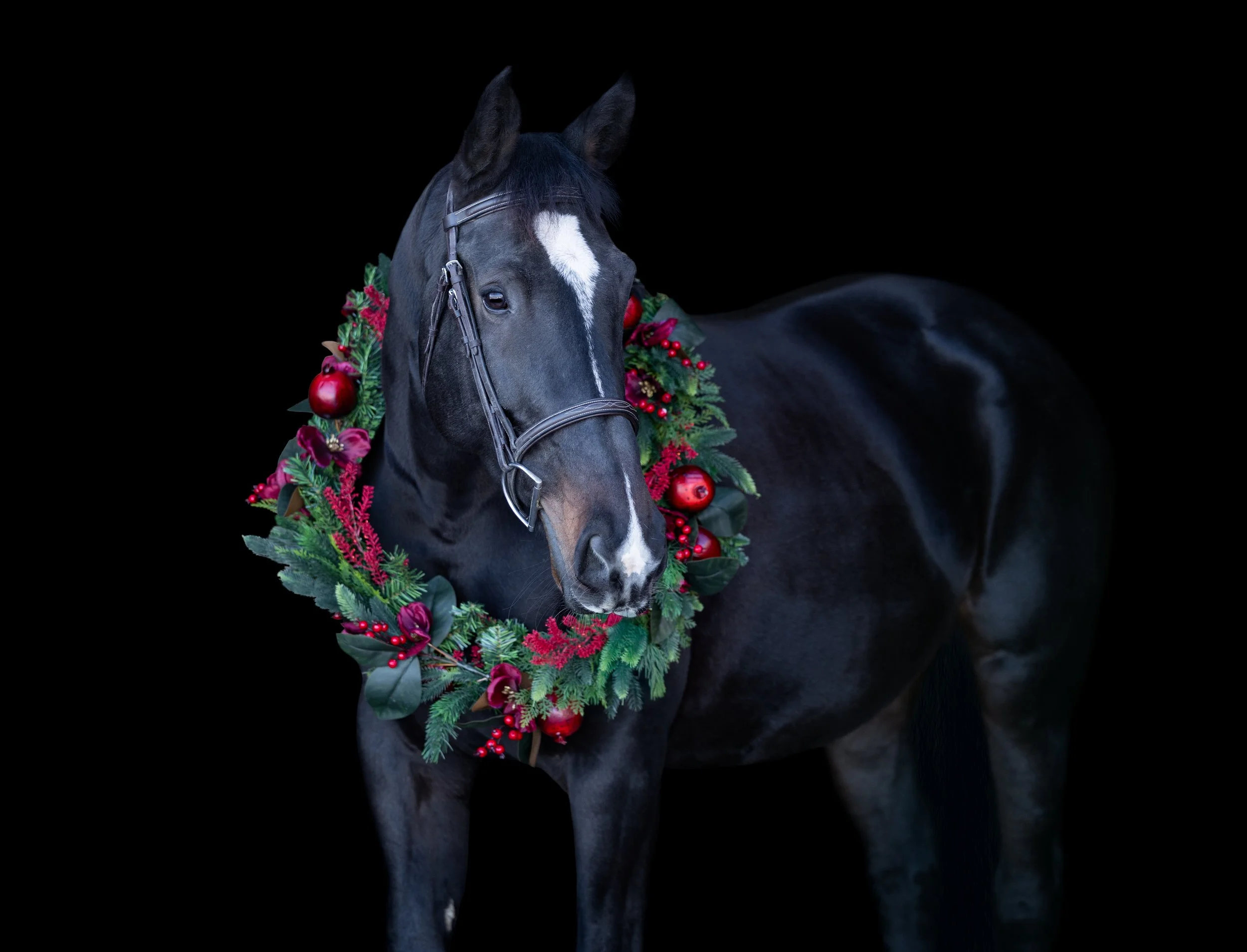 Lilah Christmas 2025-3.jpg