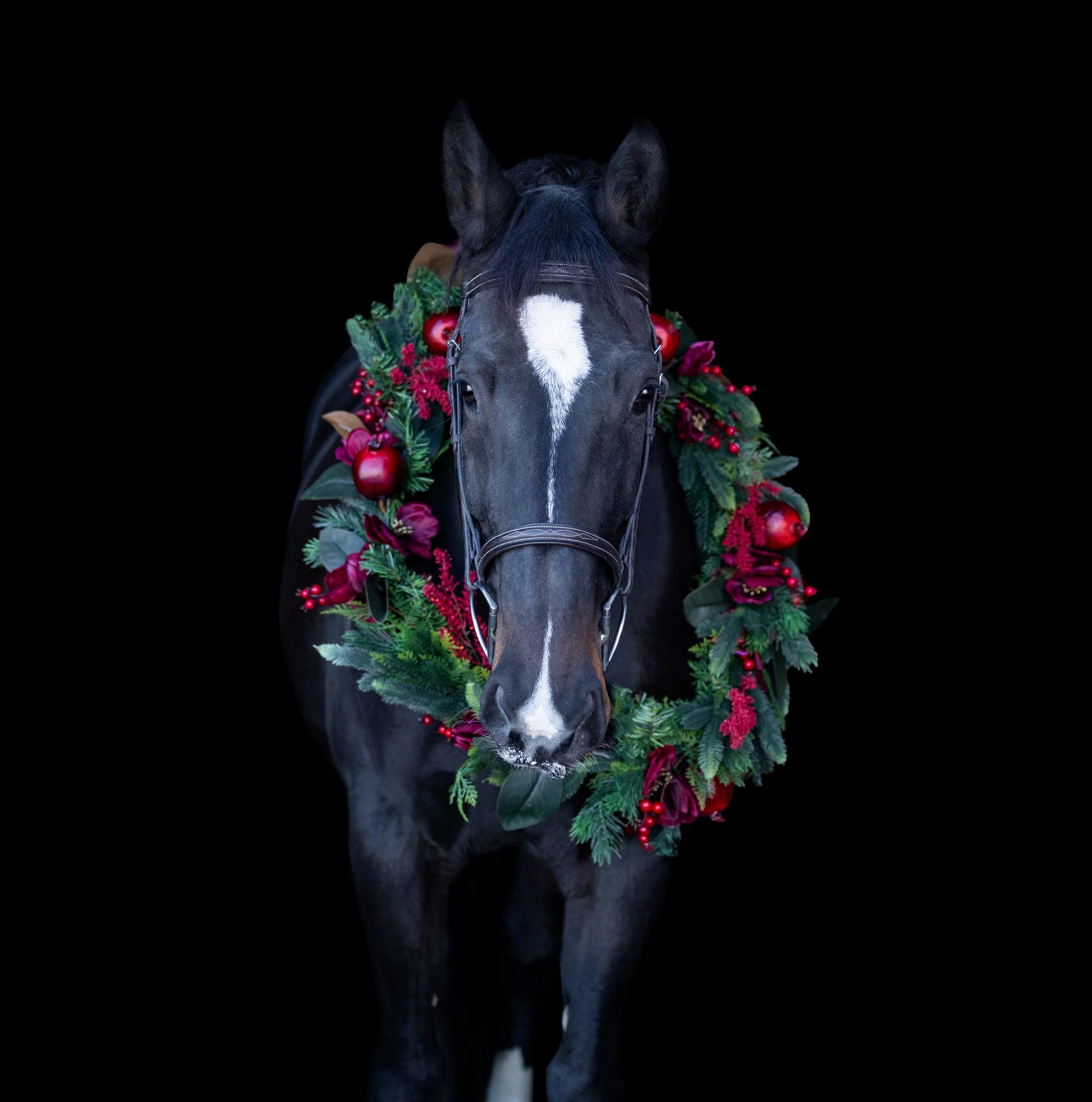 Lilah Christmas 2025-4.jpg