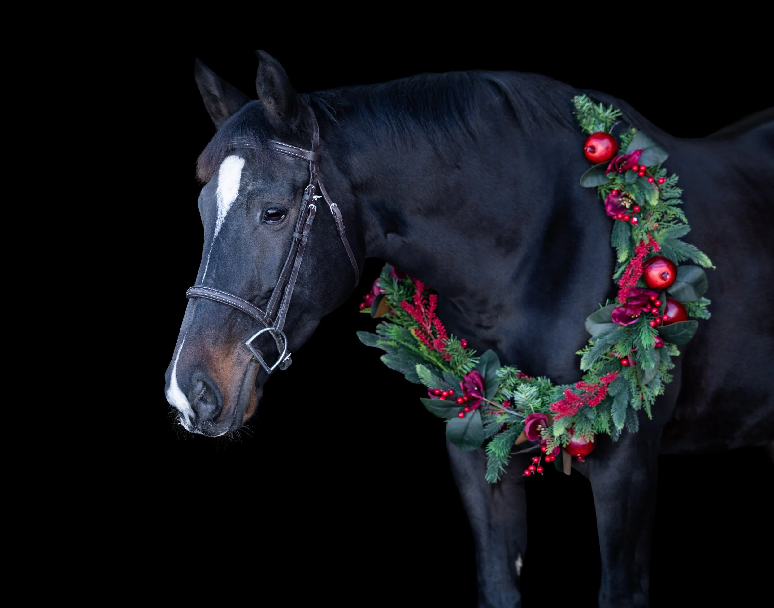 Lilah Christmas 2025-6.jpg