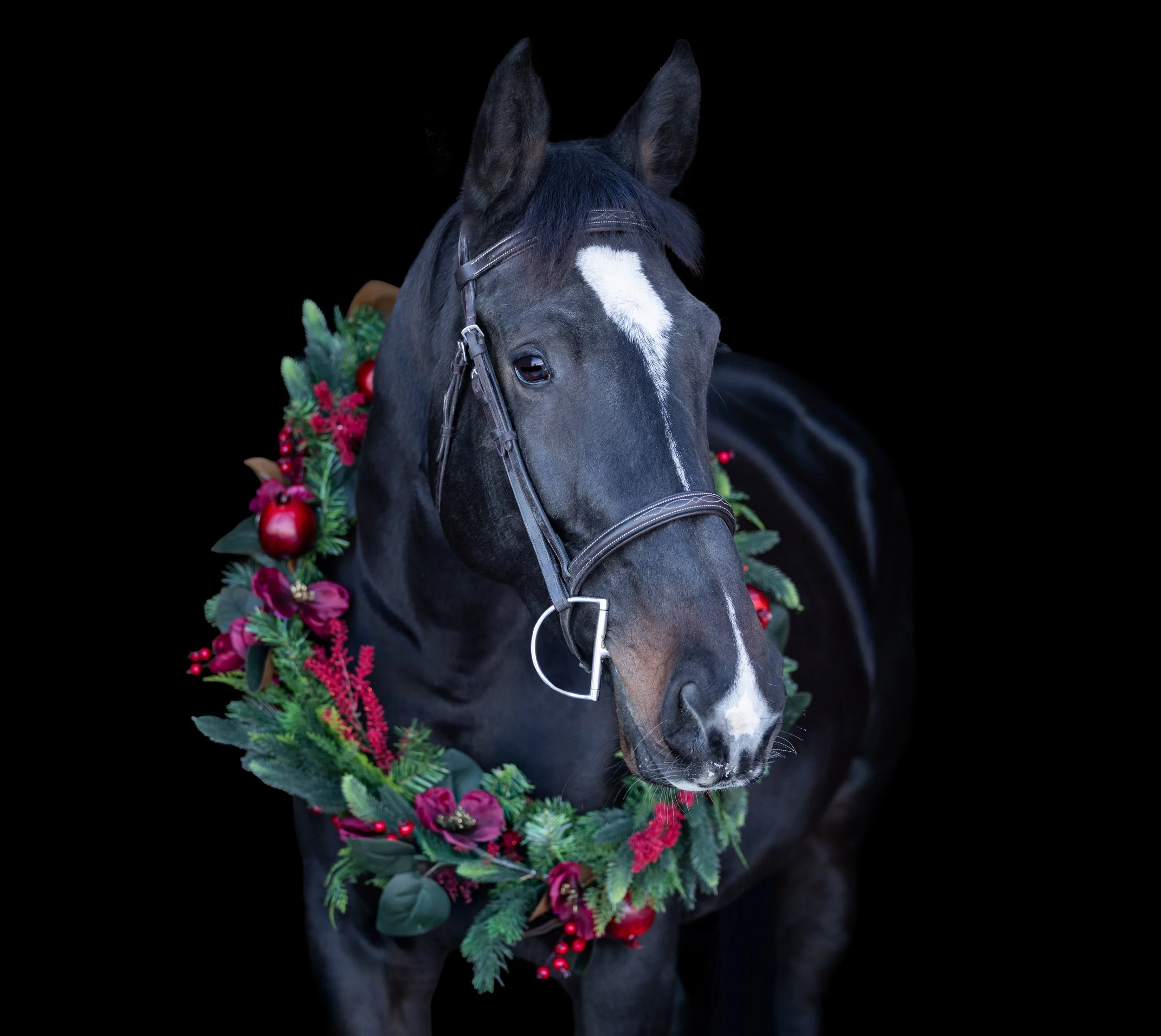 Lilah Christmas 2025-7.jpg