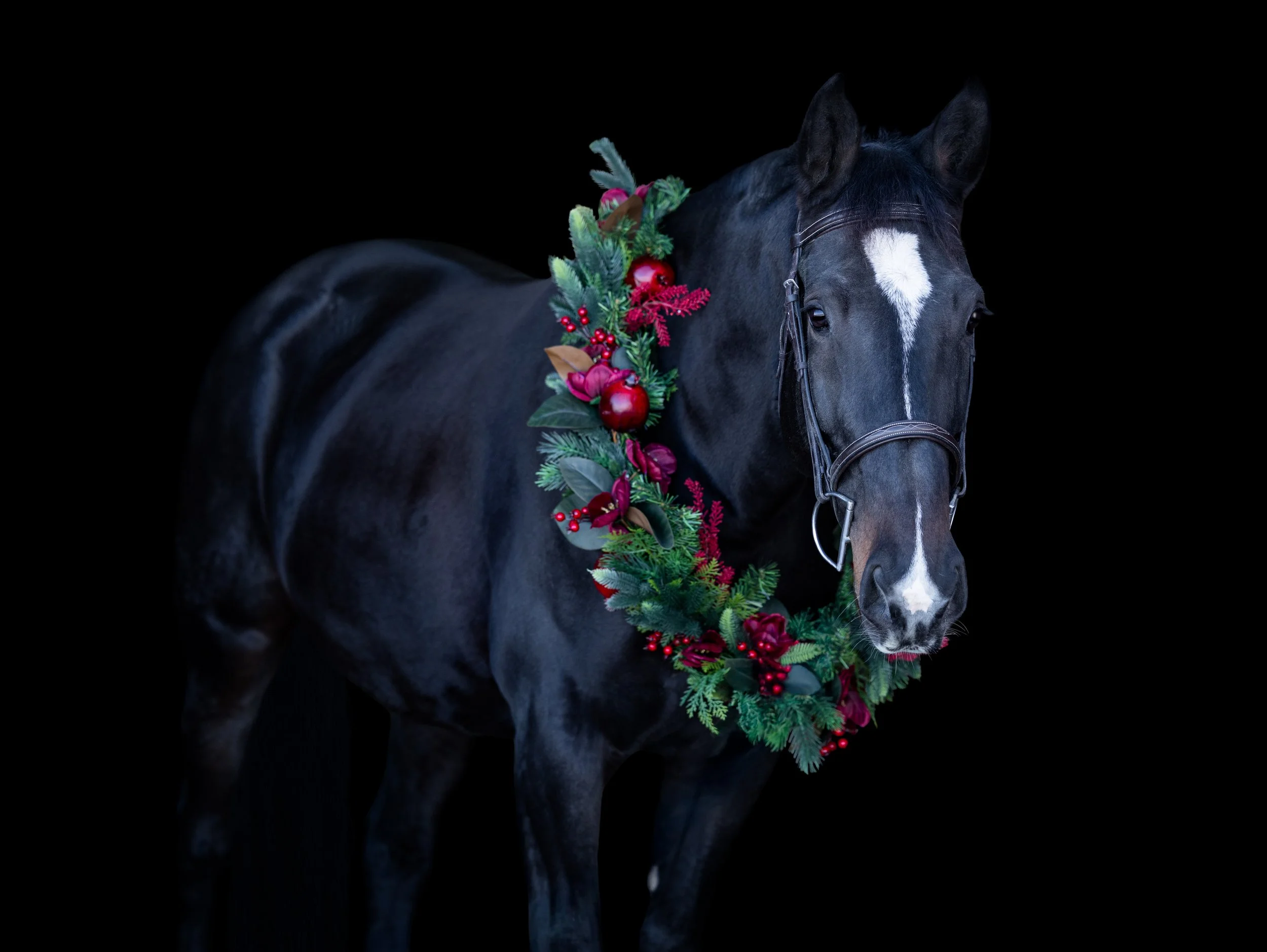 Lilah Christmas 2025.jpg