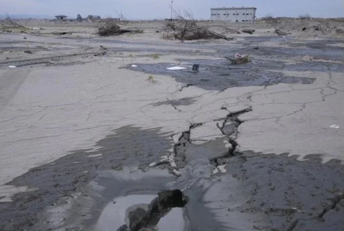 Geotechnical Earthquake Engineering