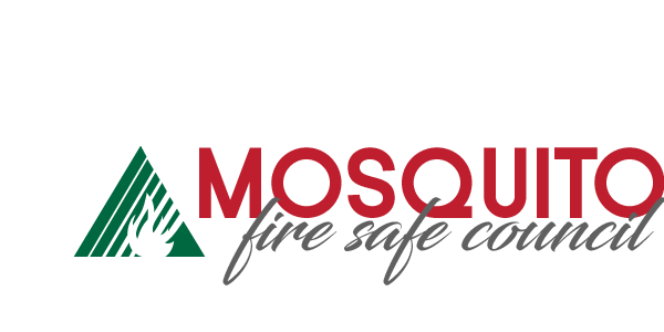 2023 MFSC Logo Gray.png