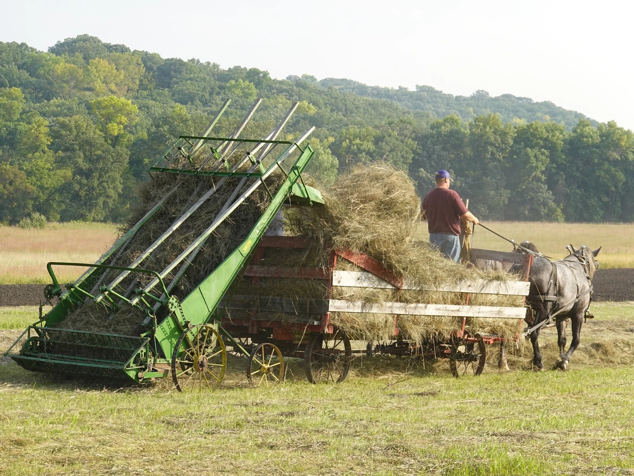 Hay loader best.jpg