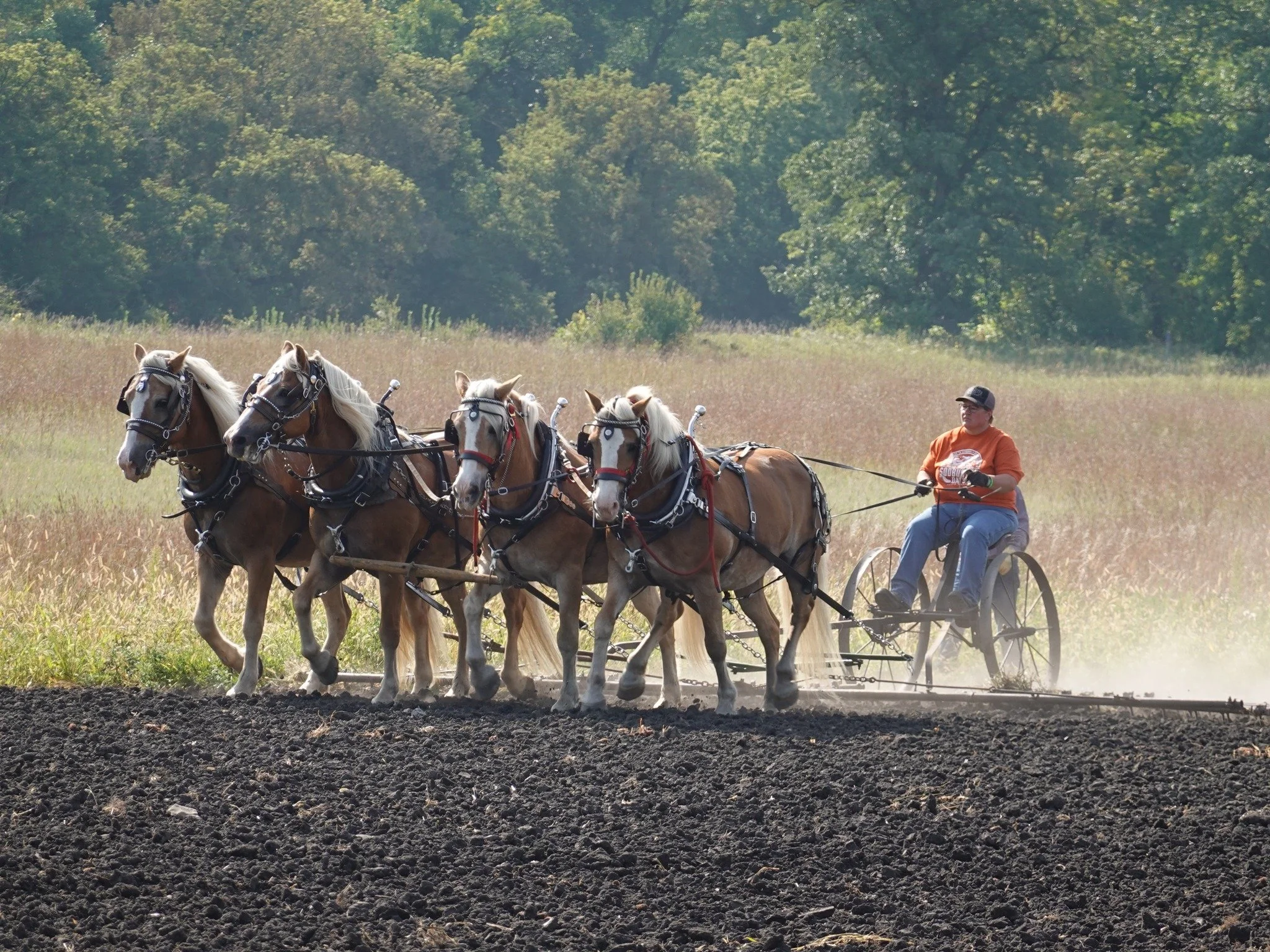 4 abreast dragging.jpg