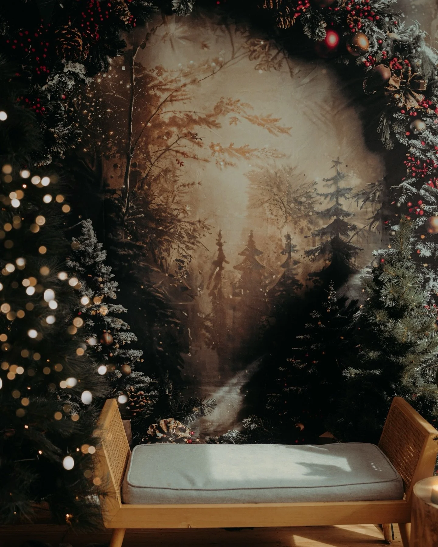 2025 Woodland Christmas minis ✨
A little pocket of magic. 
Here, time slows.
Little hands hold yours a little tighter.
Eyes sparkle as if they already know —
this is Christmas magic. ❤️
This year’s Woodland Christmas Mini Sessions are