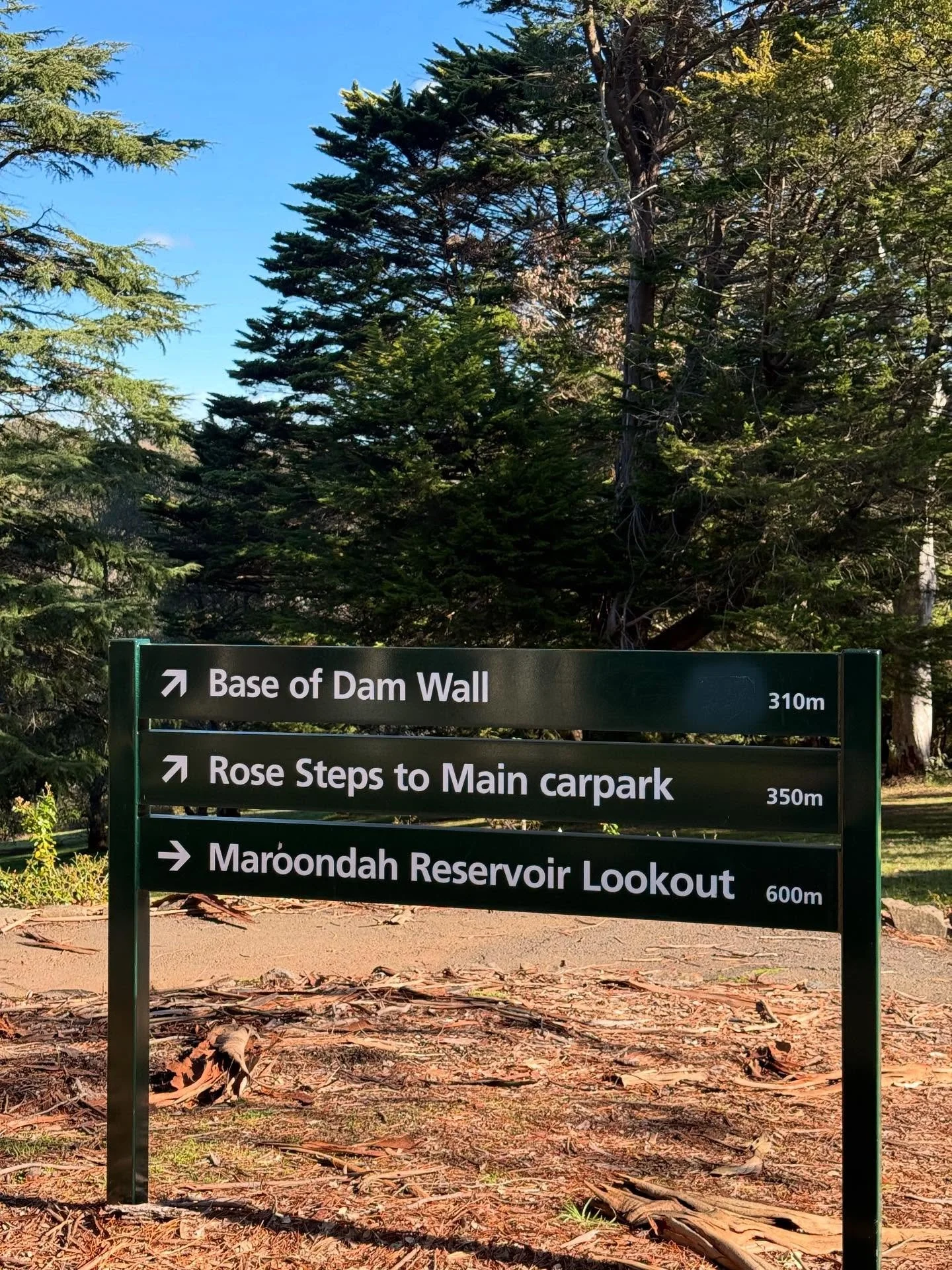 Maroondah was a movie 
#funfriday #marketgate #maroondahcitycouncil