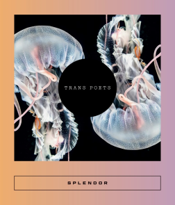 Splendor: Trans Poets Book Launch