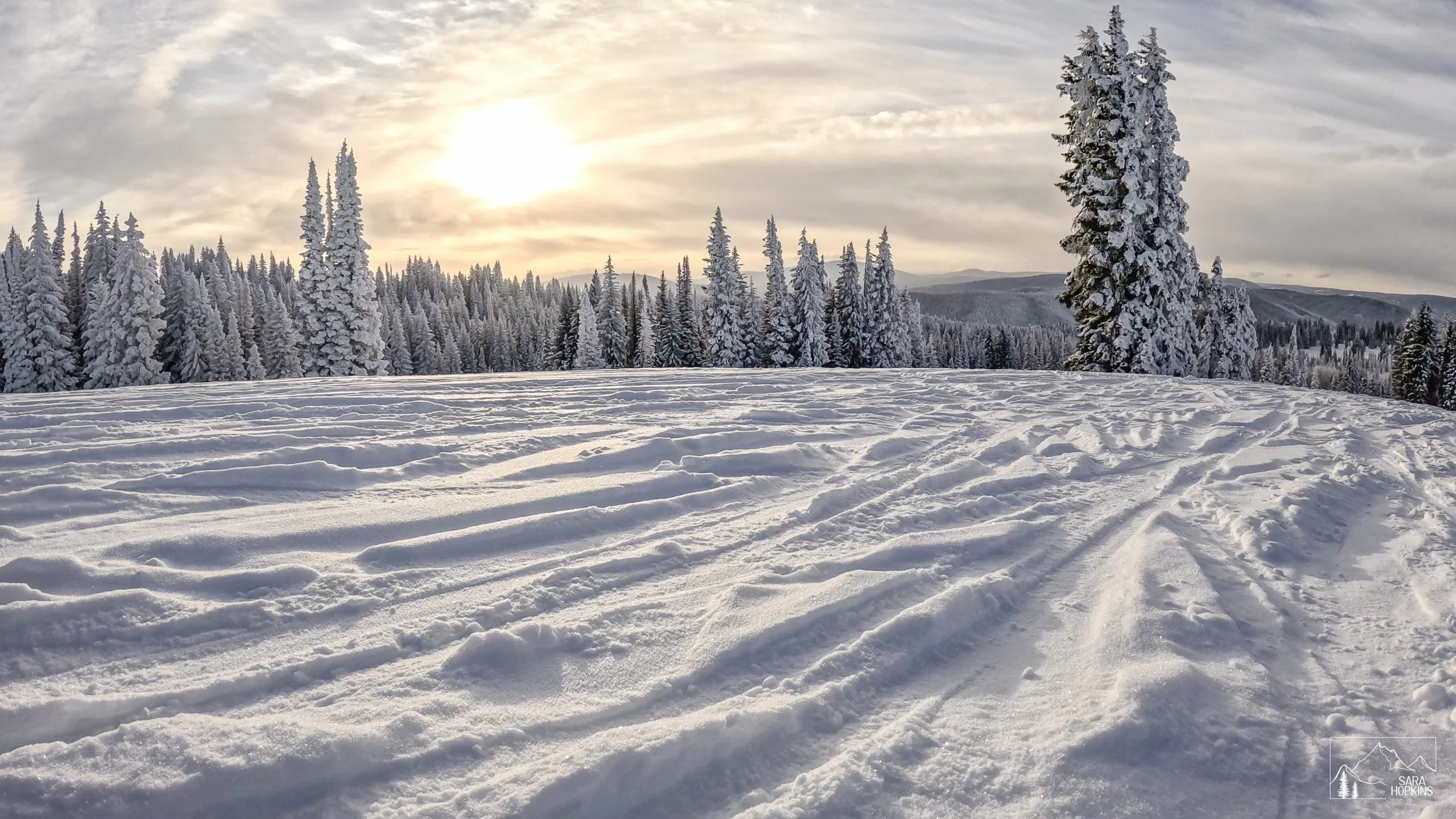 GPTempDownload 127.jpg