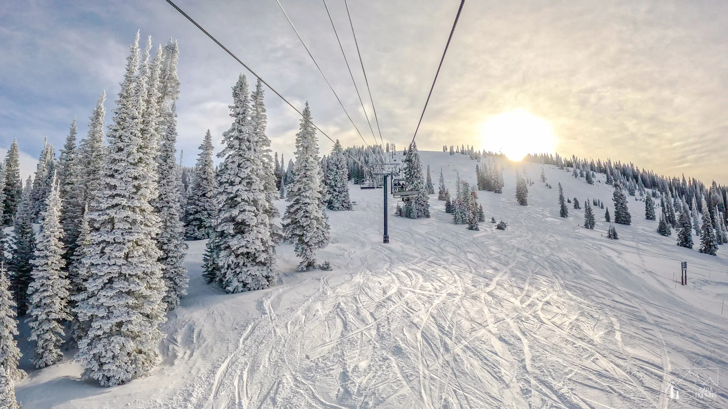 GPTempDownload 132.jpg