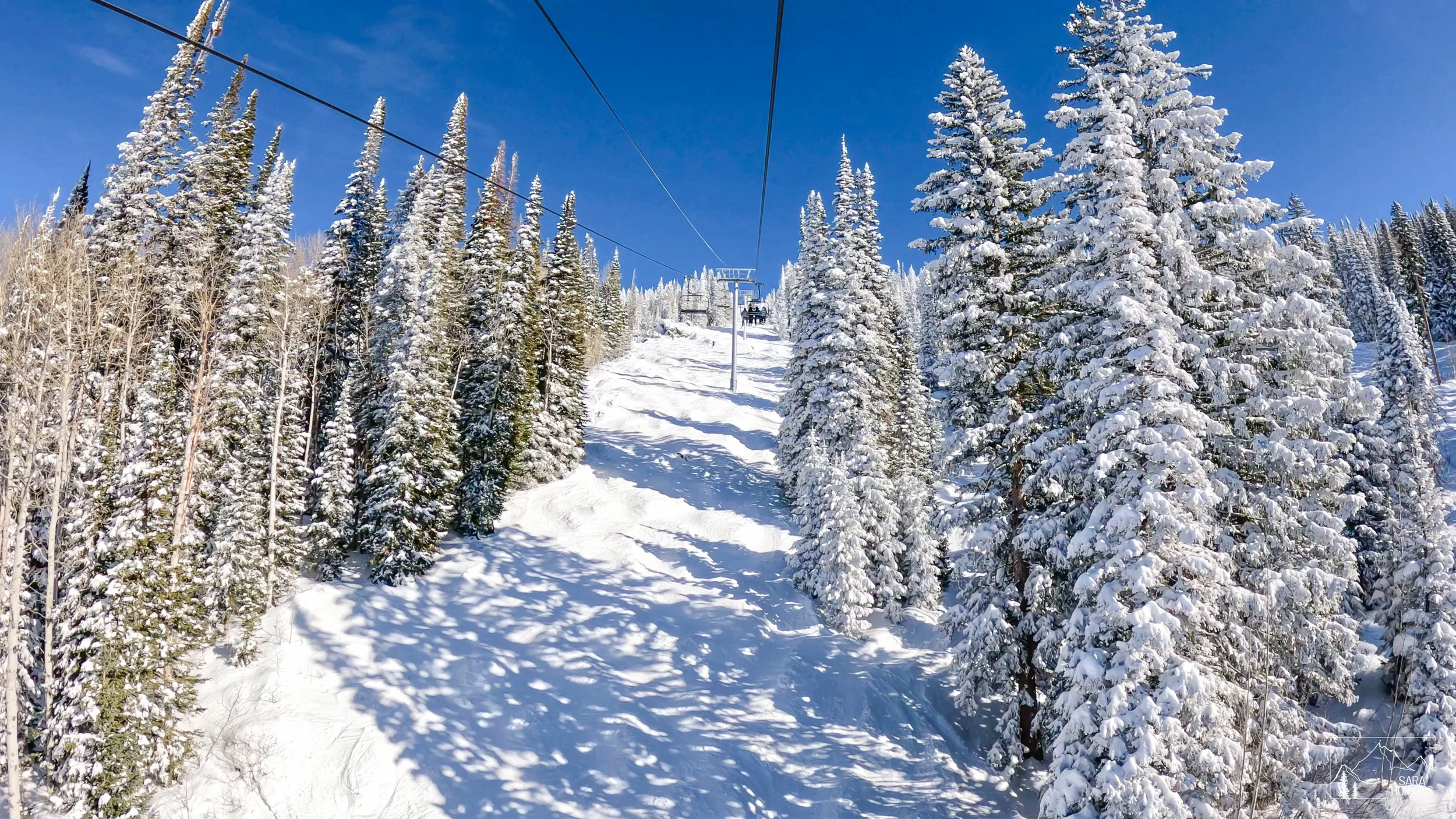 GPTempDownload 191.jpg