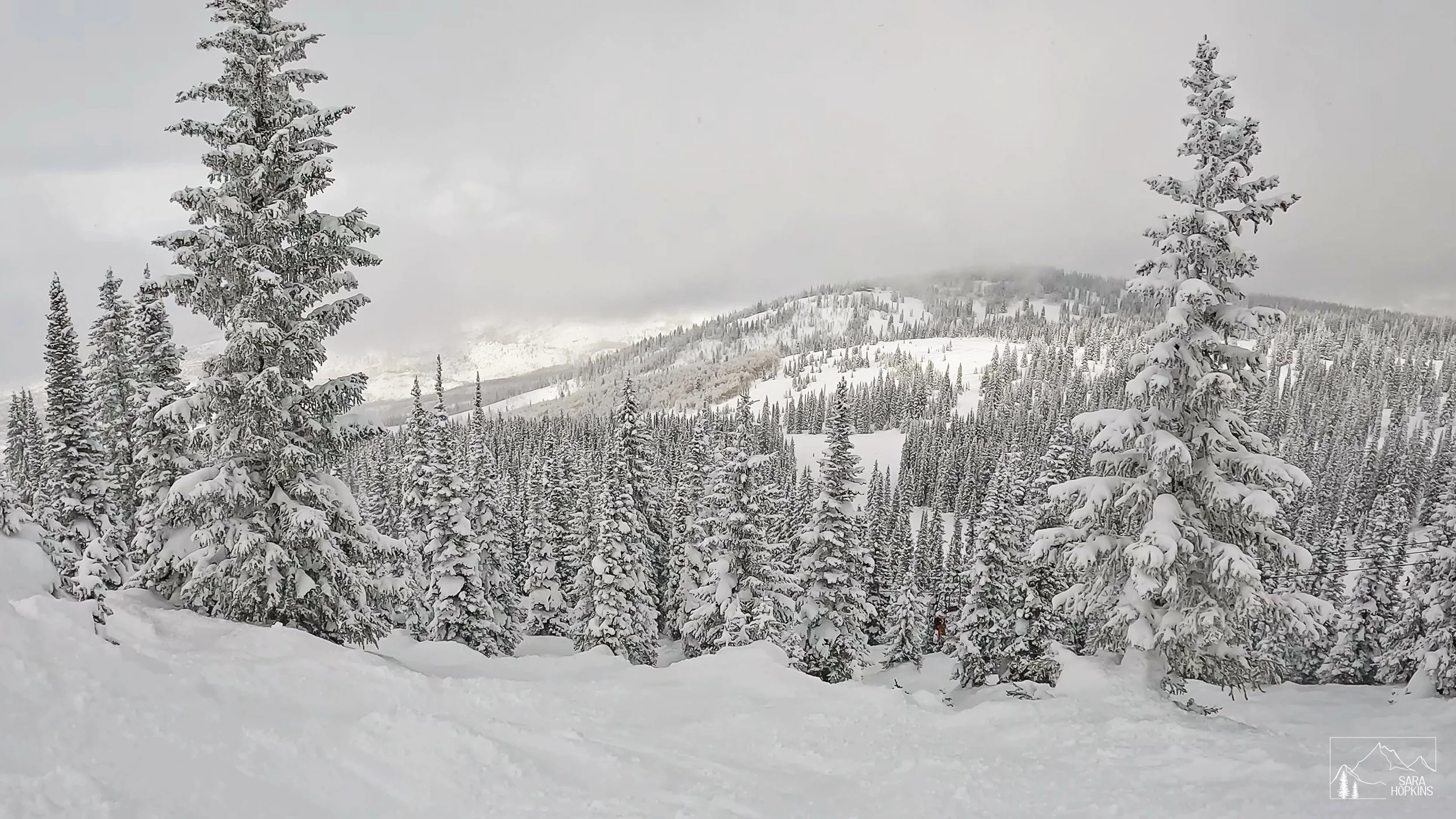 GPTempDownload 184.jpg