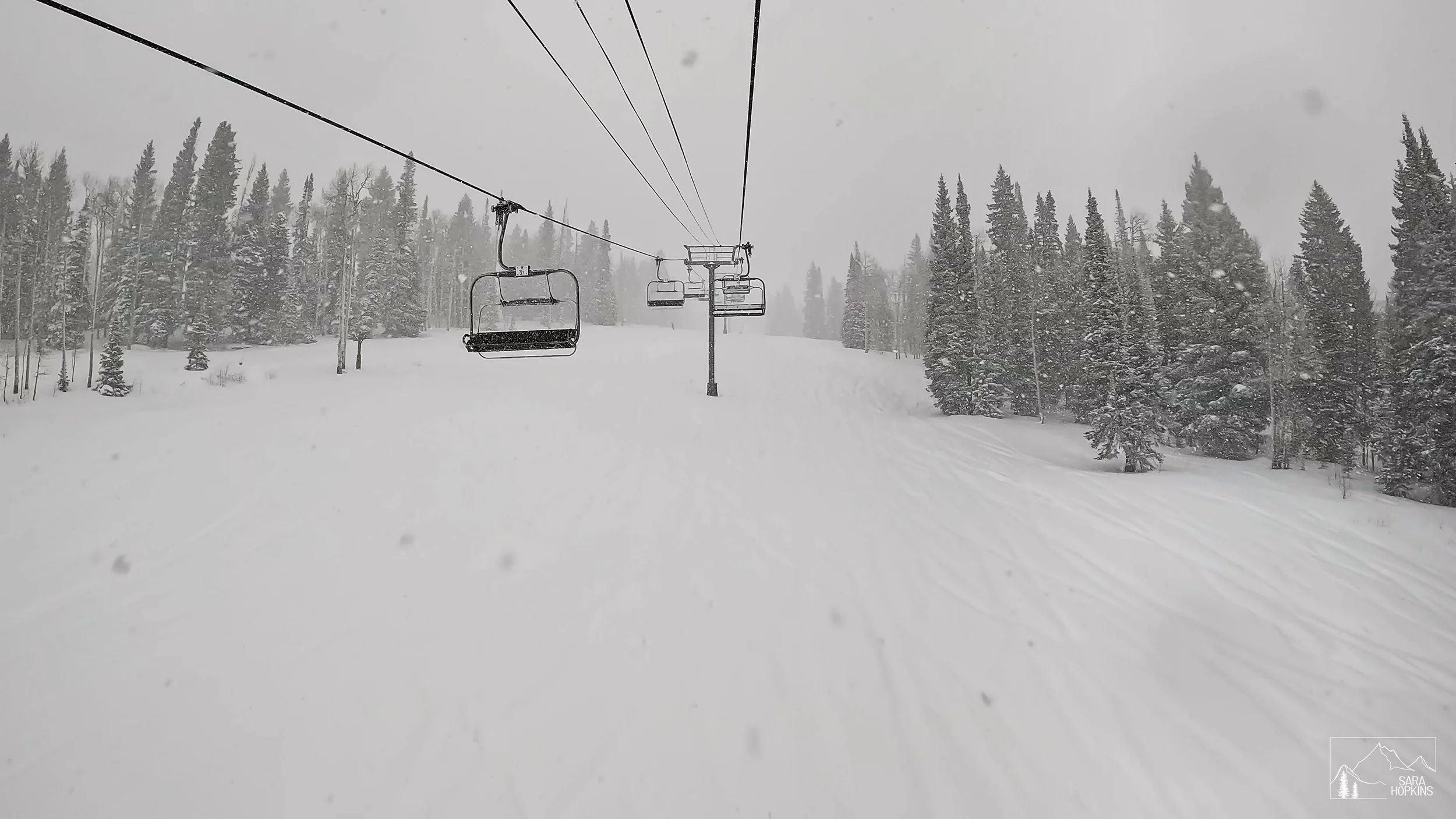 GPTempDownload 241.jpg