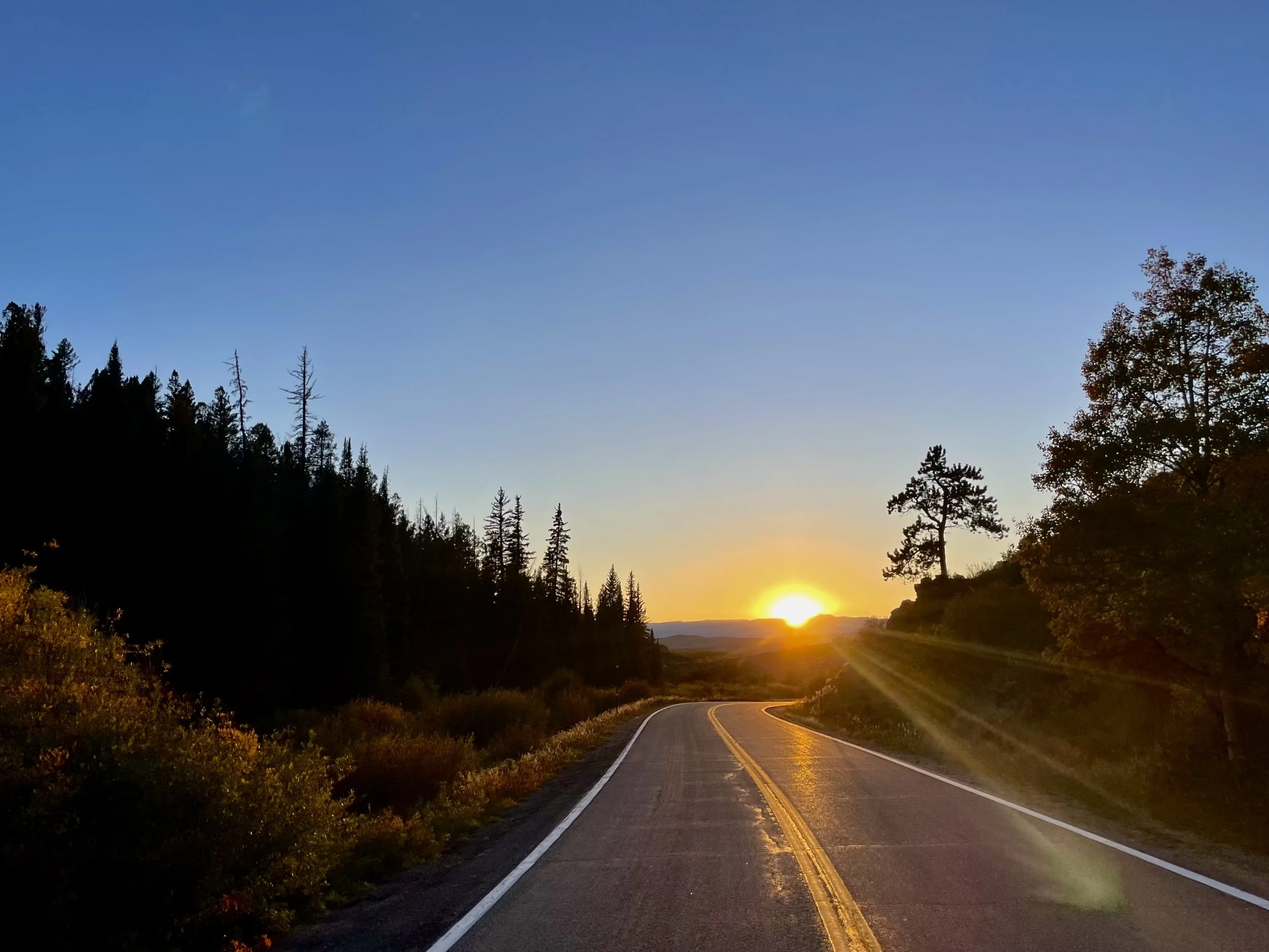 FullSizeRender 3.jpeg