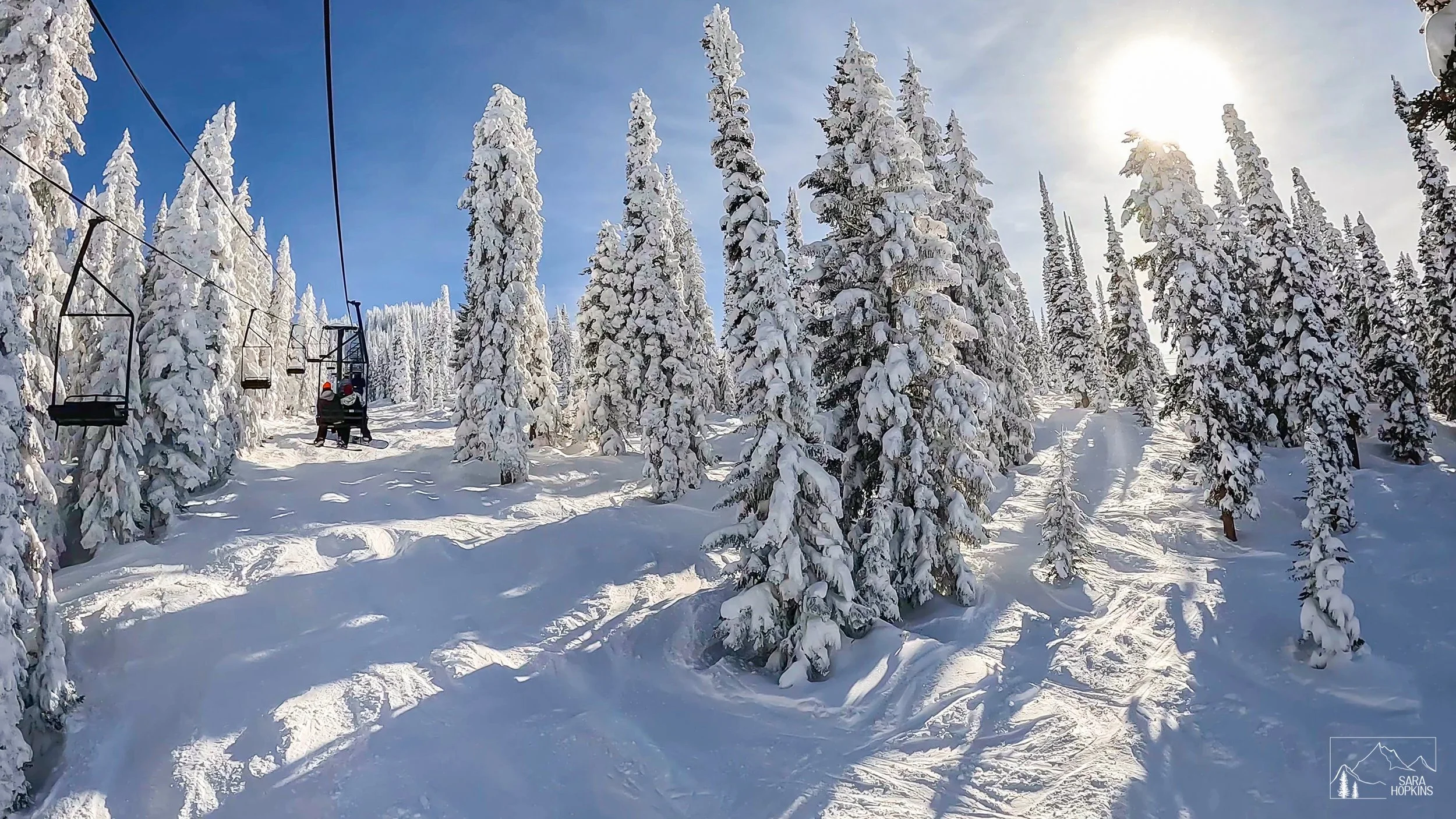 GPTempDownload 217.jpg