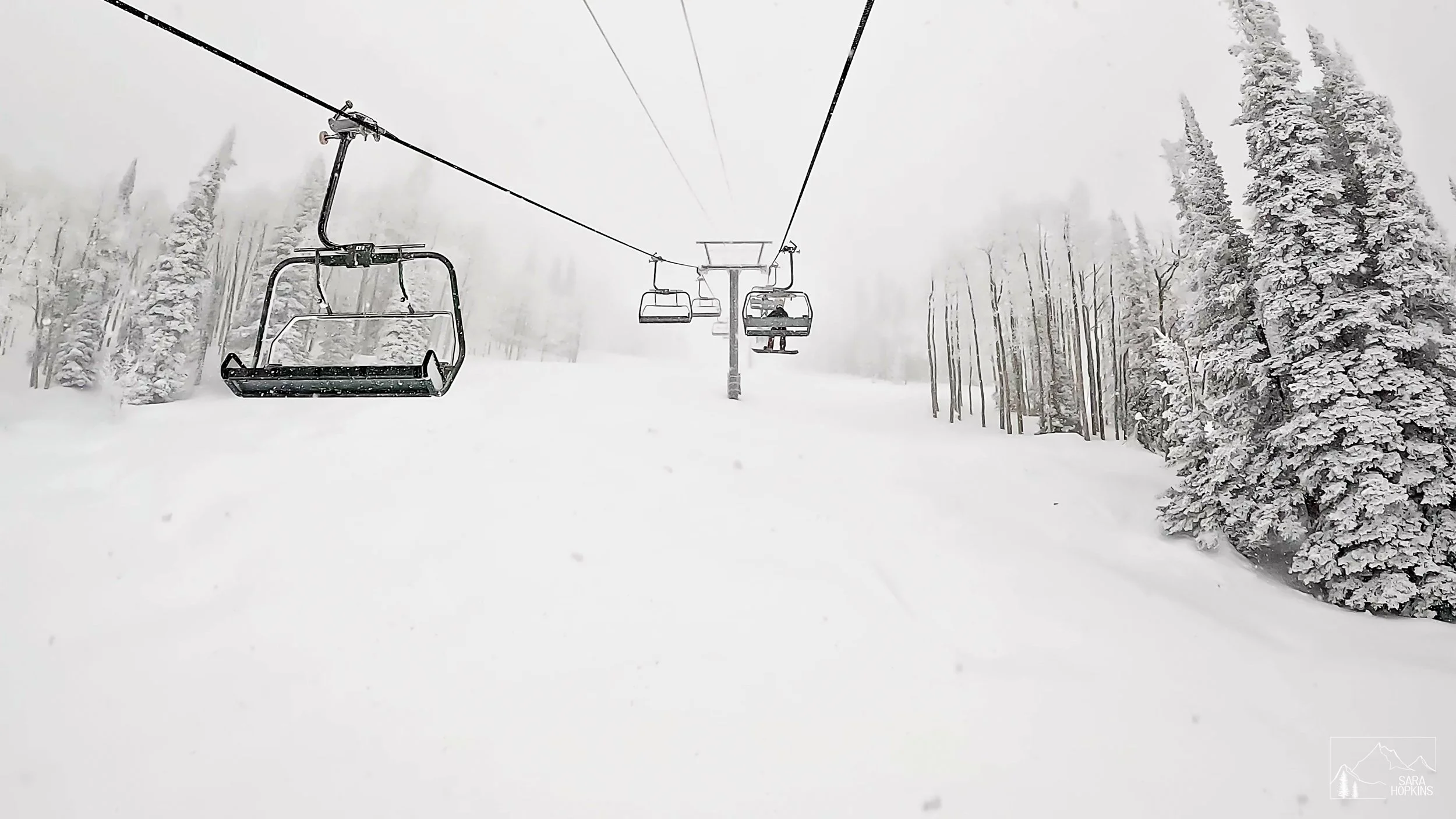 GPTempDownload 179.jpg