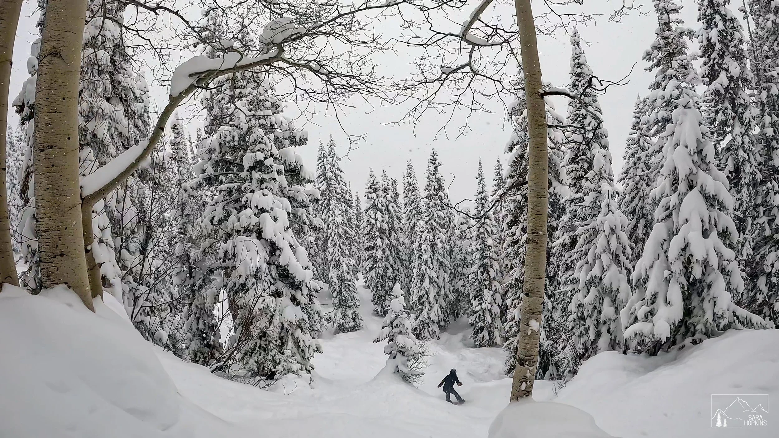 GPTempDownload 222.jpg