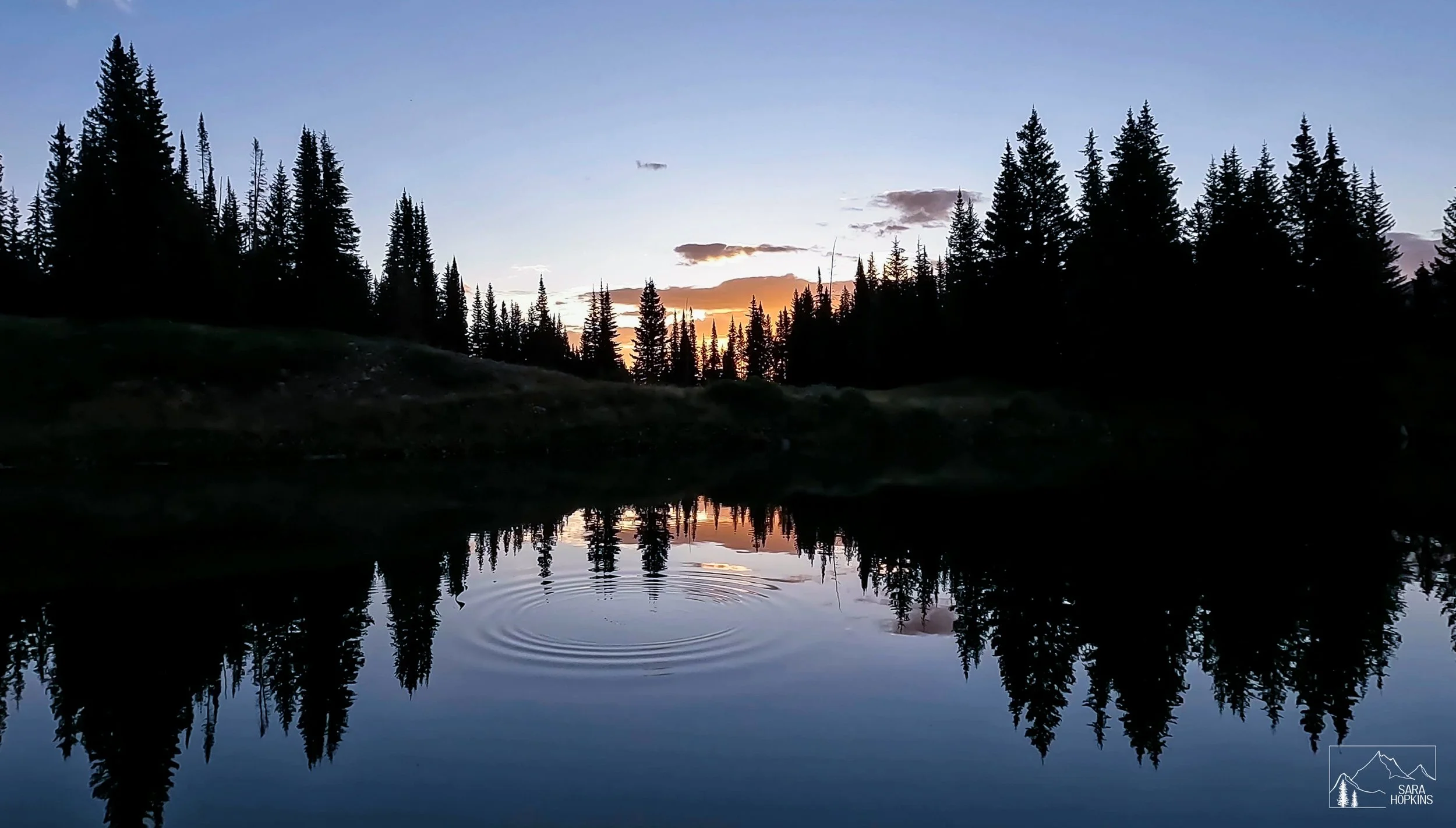 GPTempDownload 254.jpg