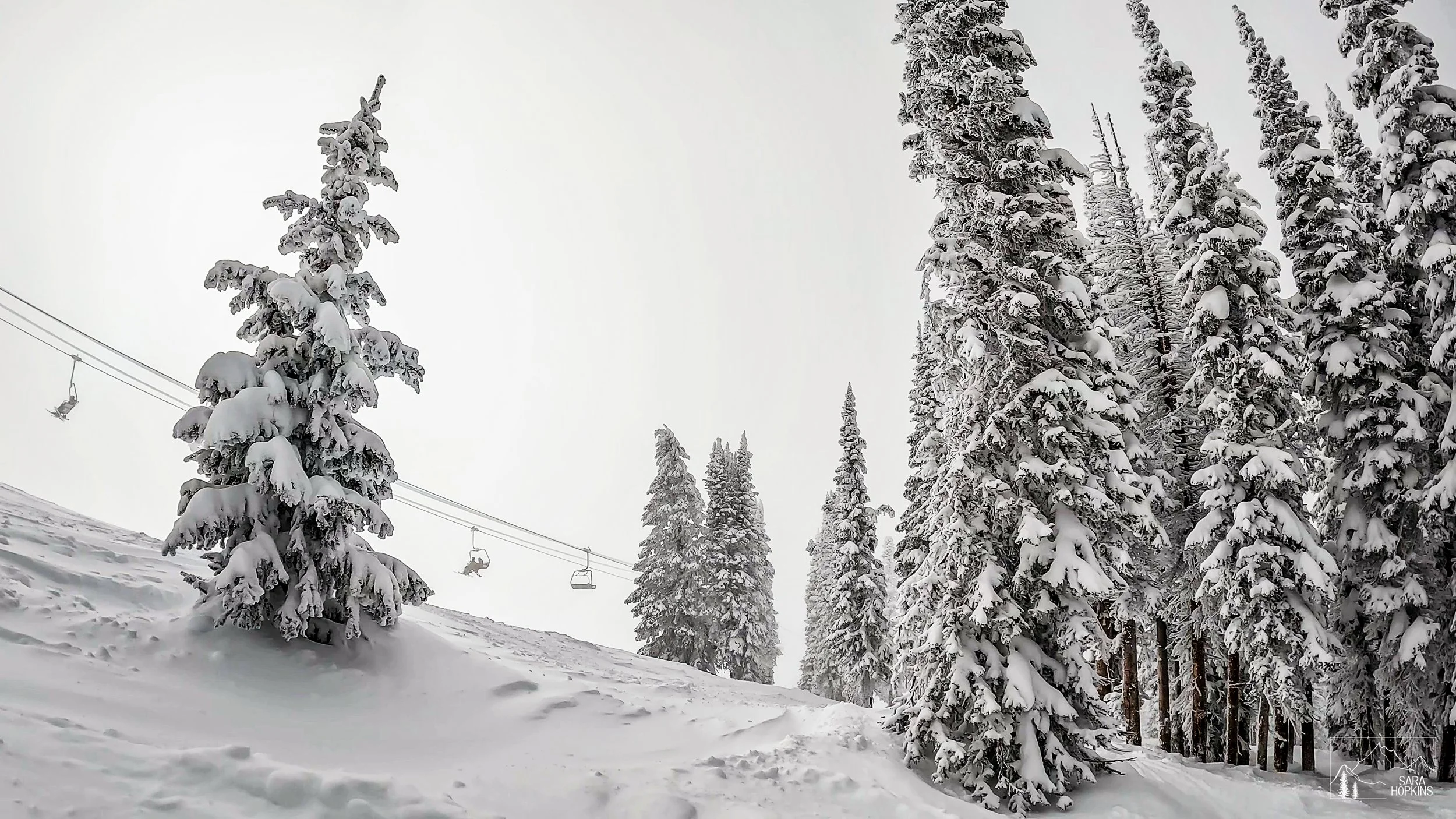 GPTempDownload 224.jpg