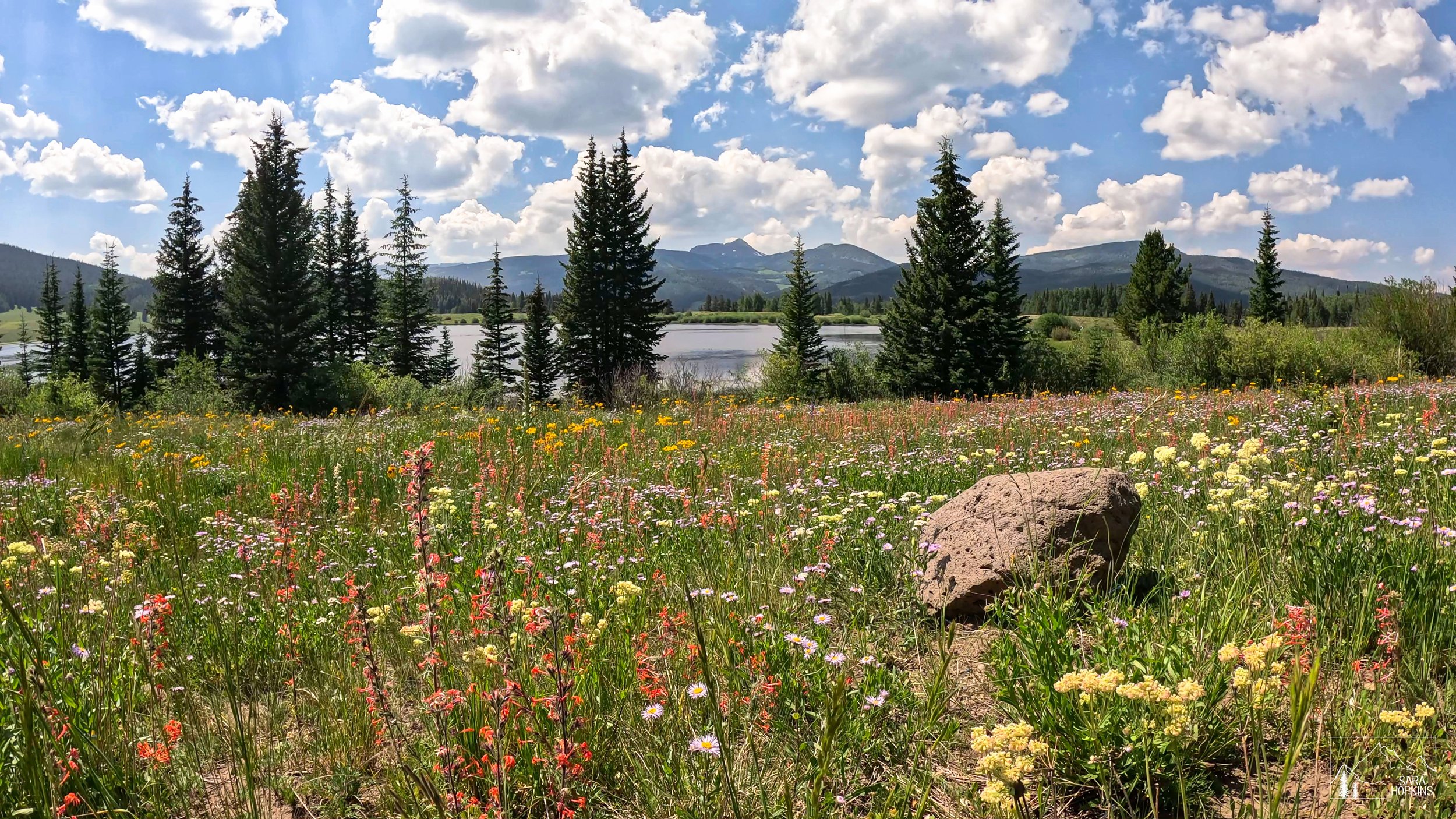 GPTempDownload 138.jpg