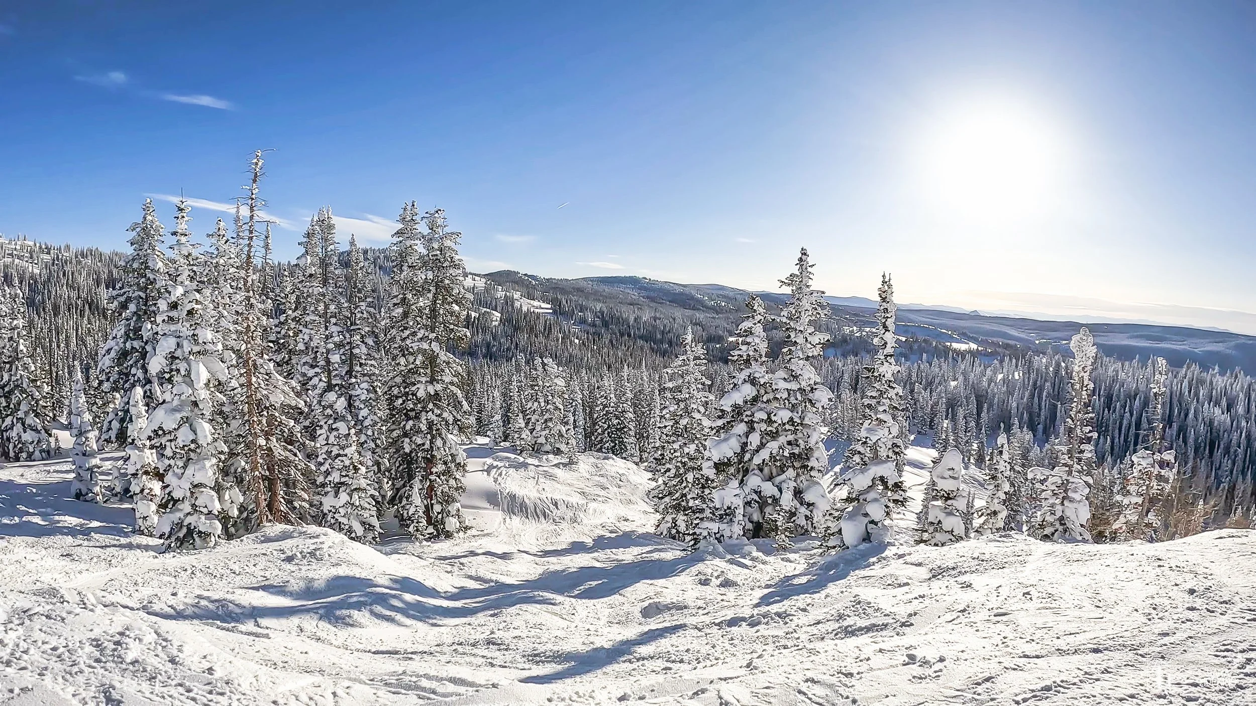 GPTempDownload 211.jpg