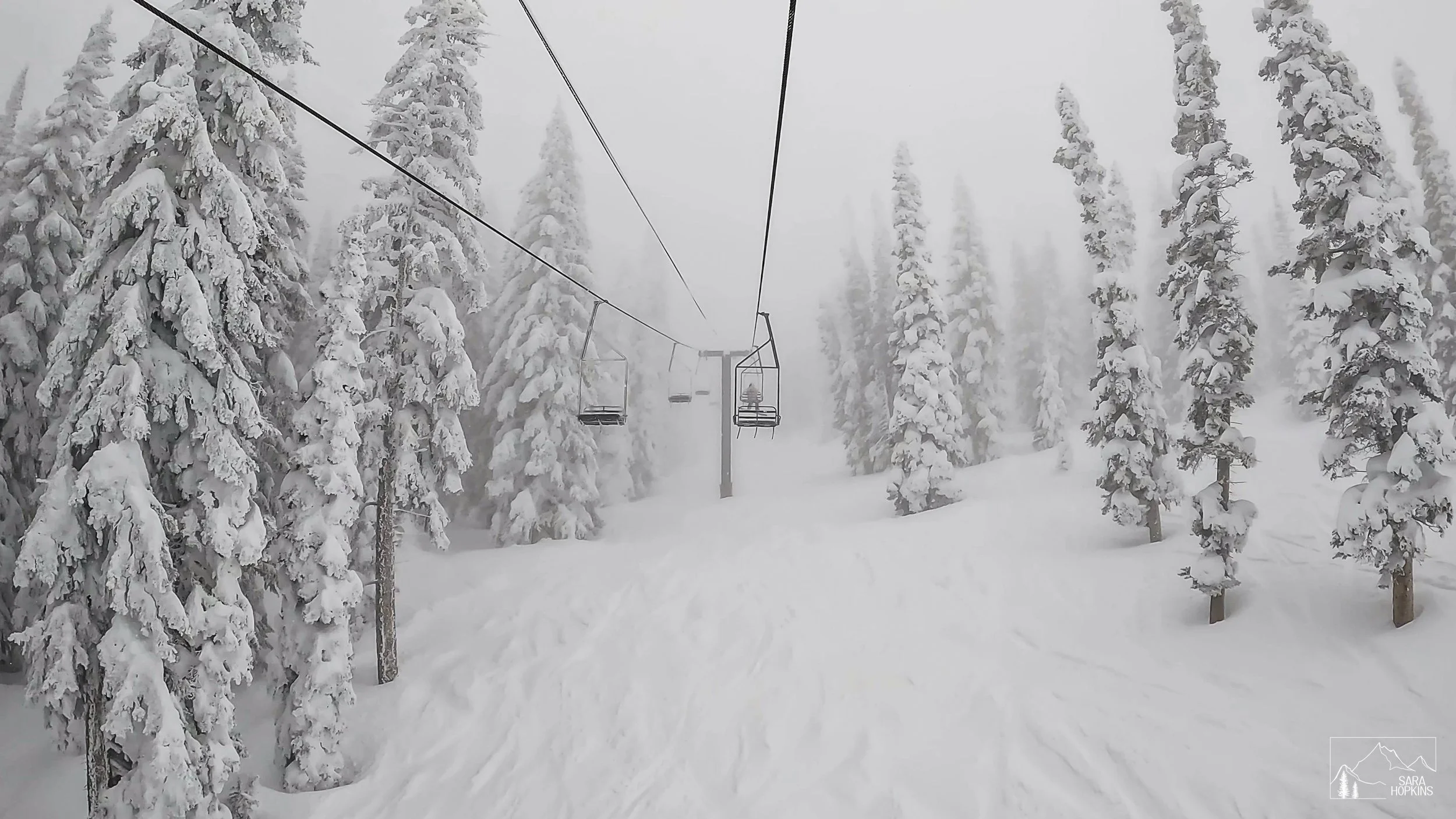 GPTempDownload 205.jpg