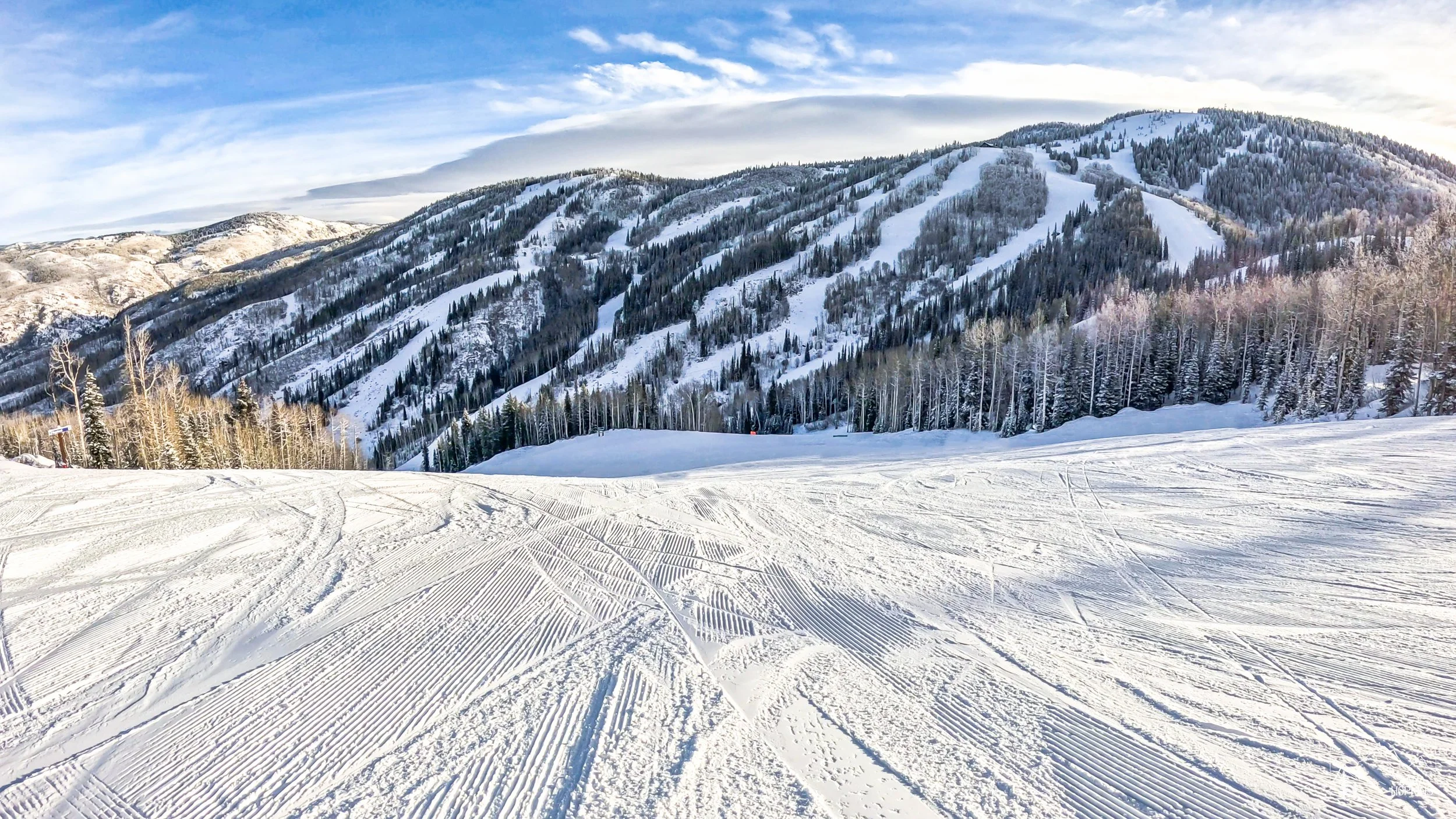 GPTempDownload 137.jpg