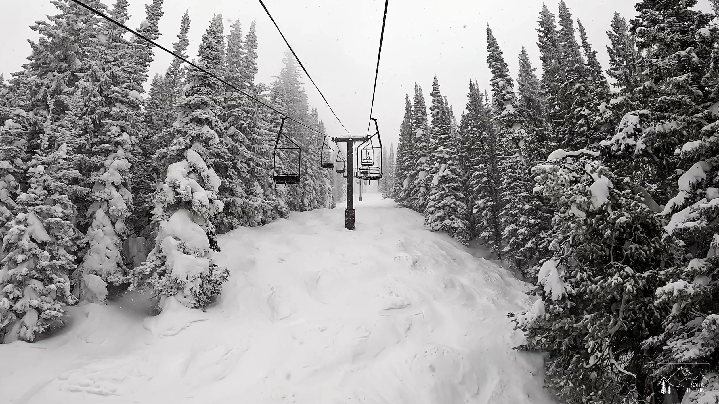 GPTempDownload 190-2.jpg