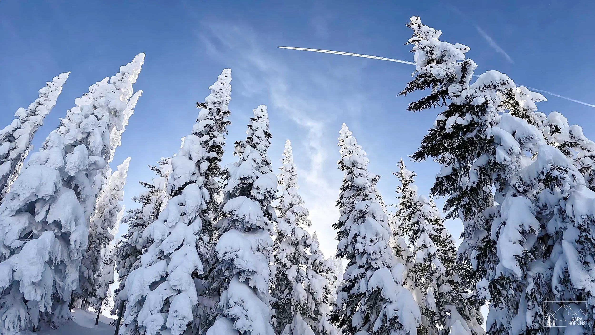 GPTempDownload 212.jpg