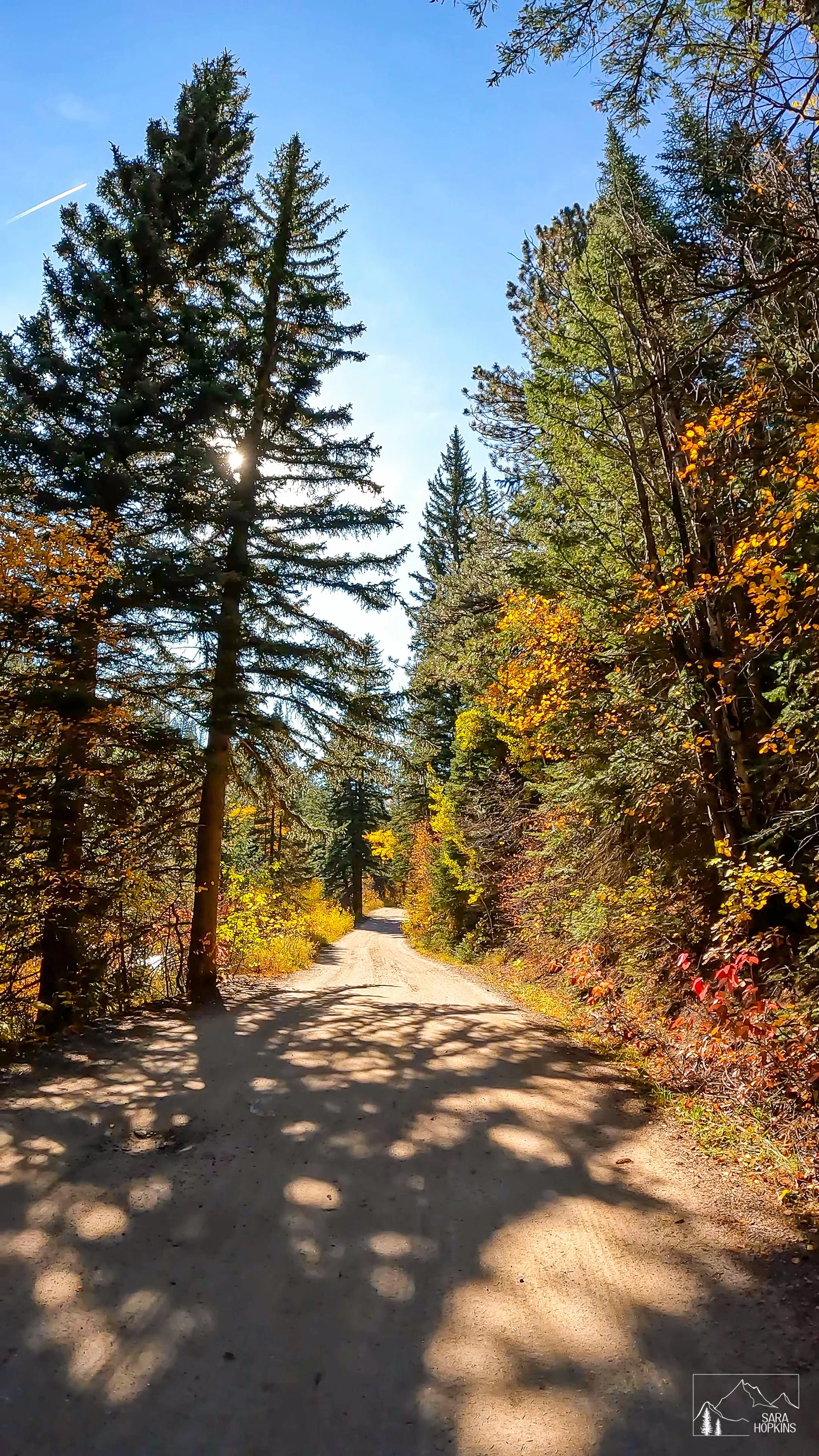 GPTempDownload 248.jpg