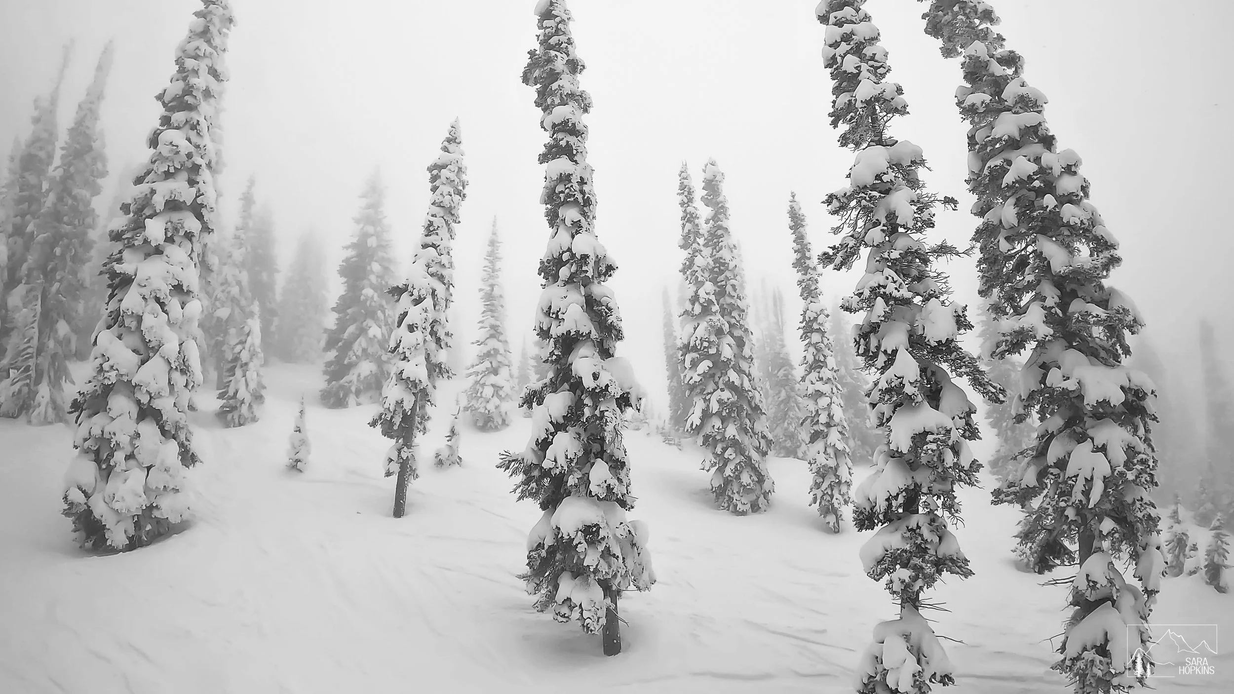 GPTempDownload 206.jpg