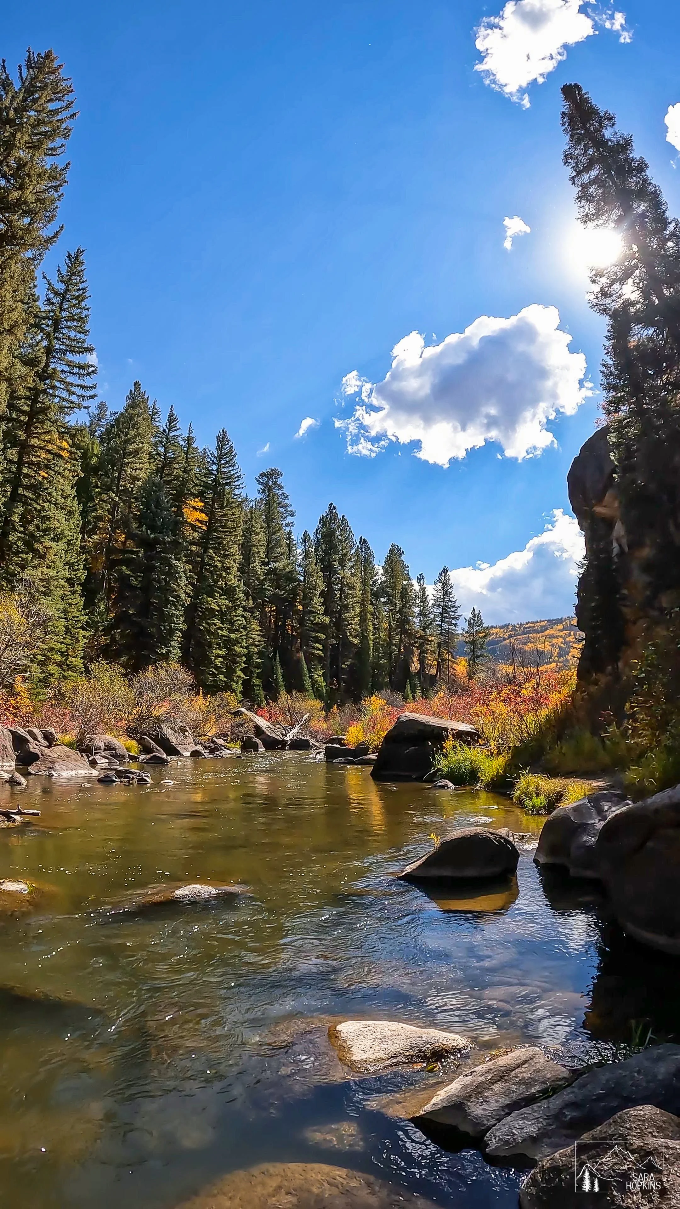 GPTempDownload 246.jpg