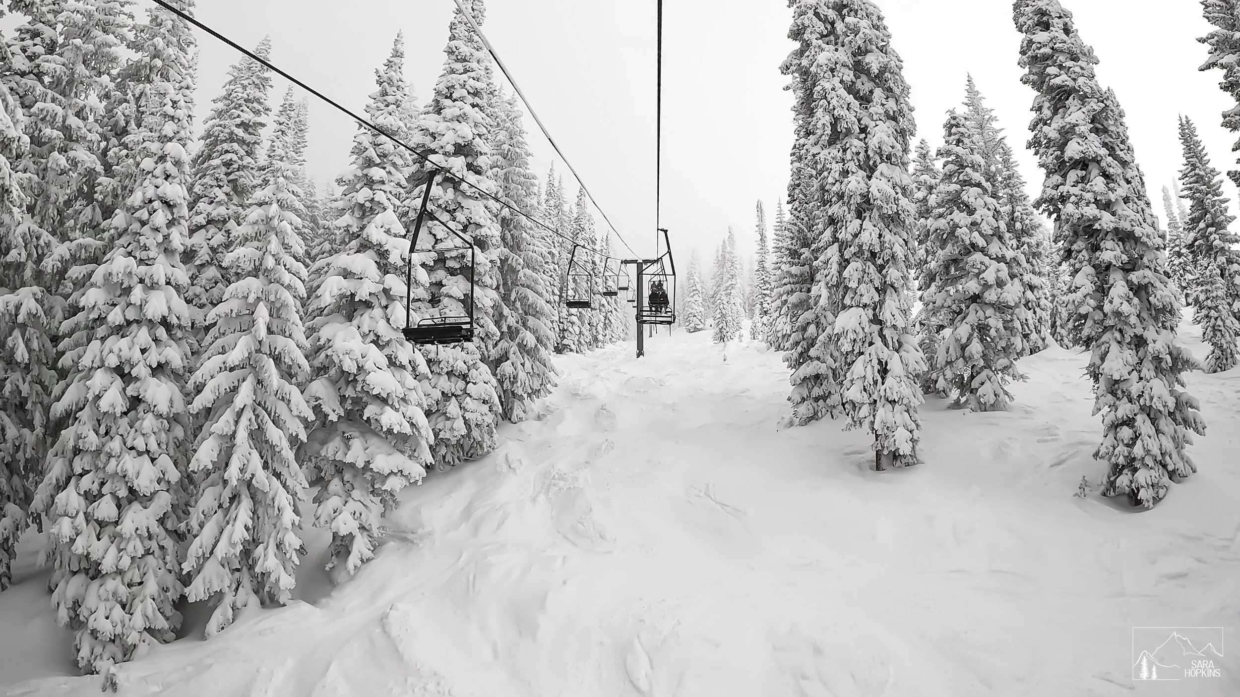 GPTempDownload 231-2.jpg