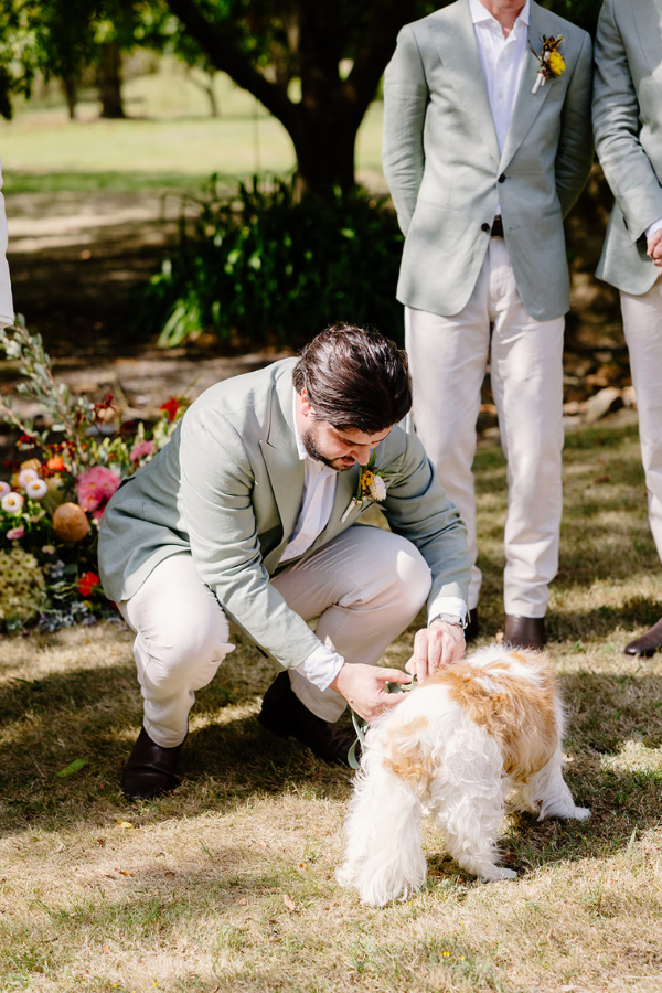 Fur babies at weddings.png