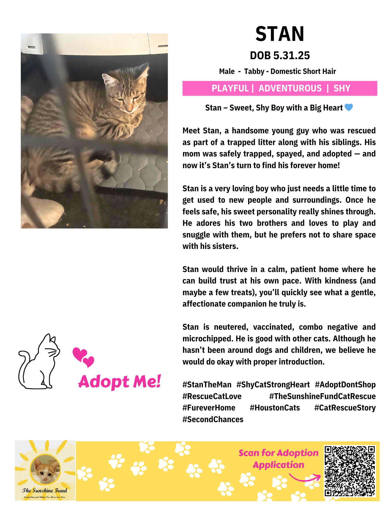 OFFICIAL_Cat Bios for Lounge_TSF.zip - Stan.png