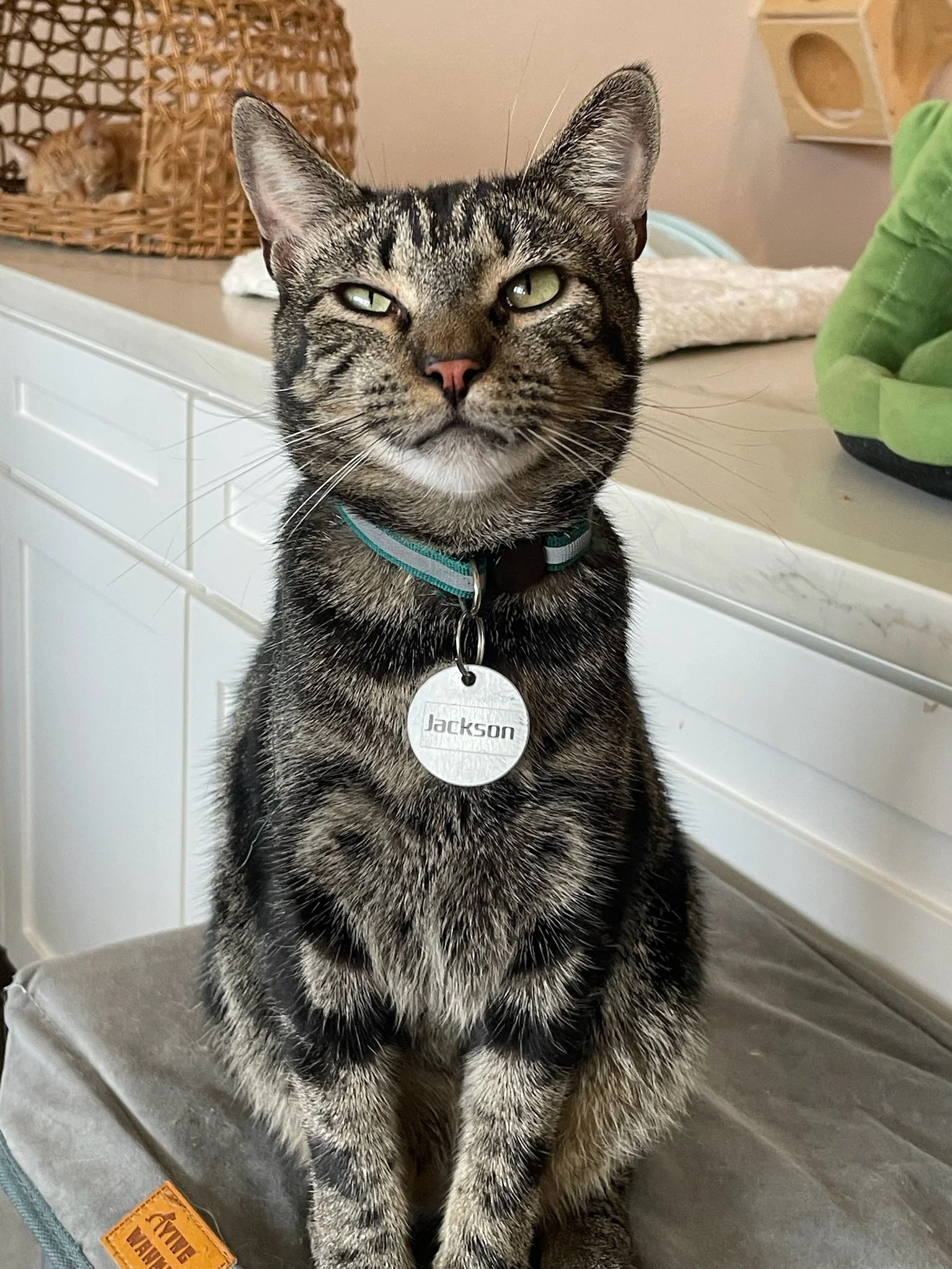 Christmas Movie Night - VOTING