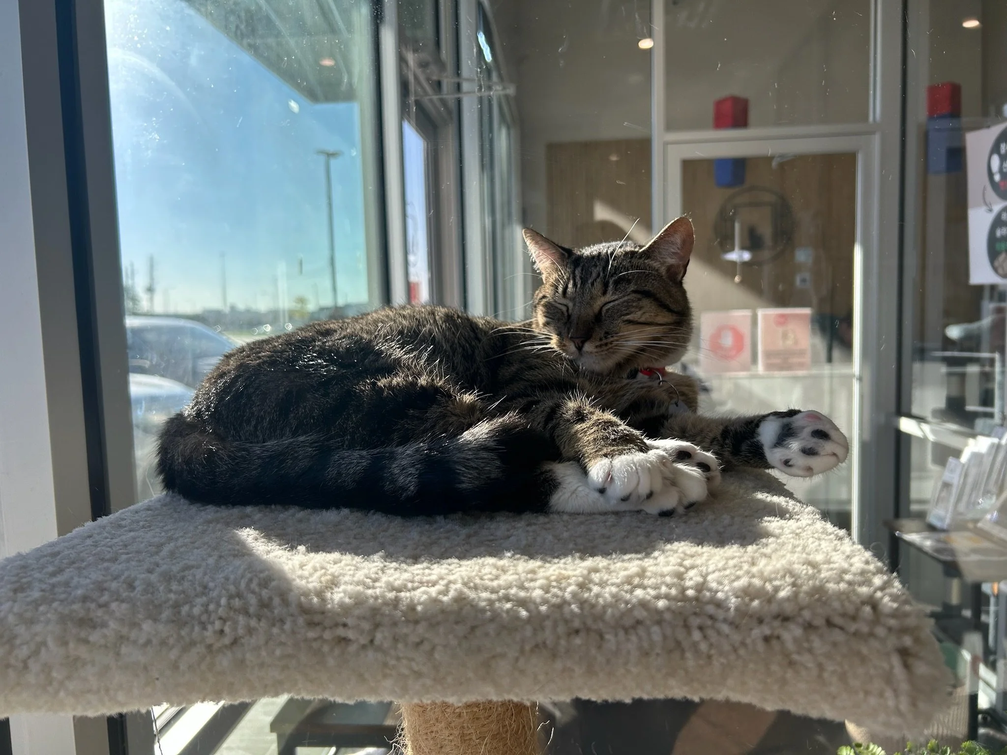 Christmas Merch Sale