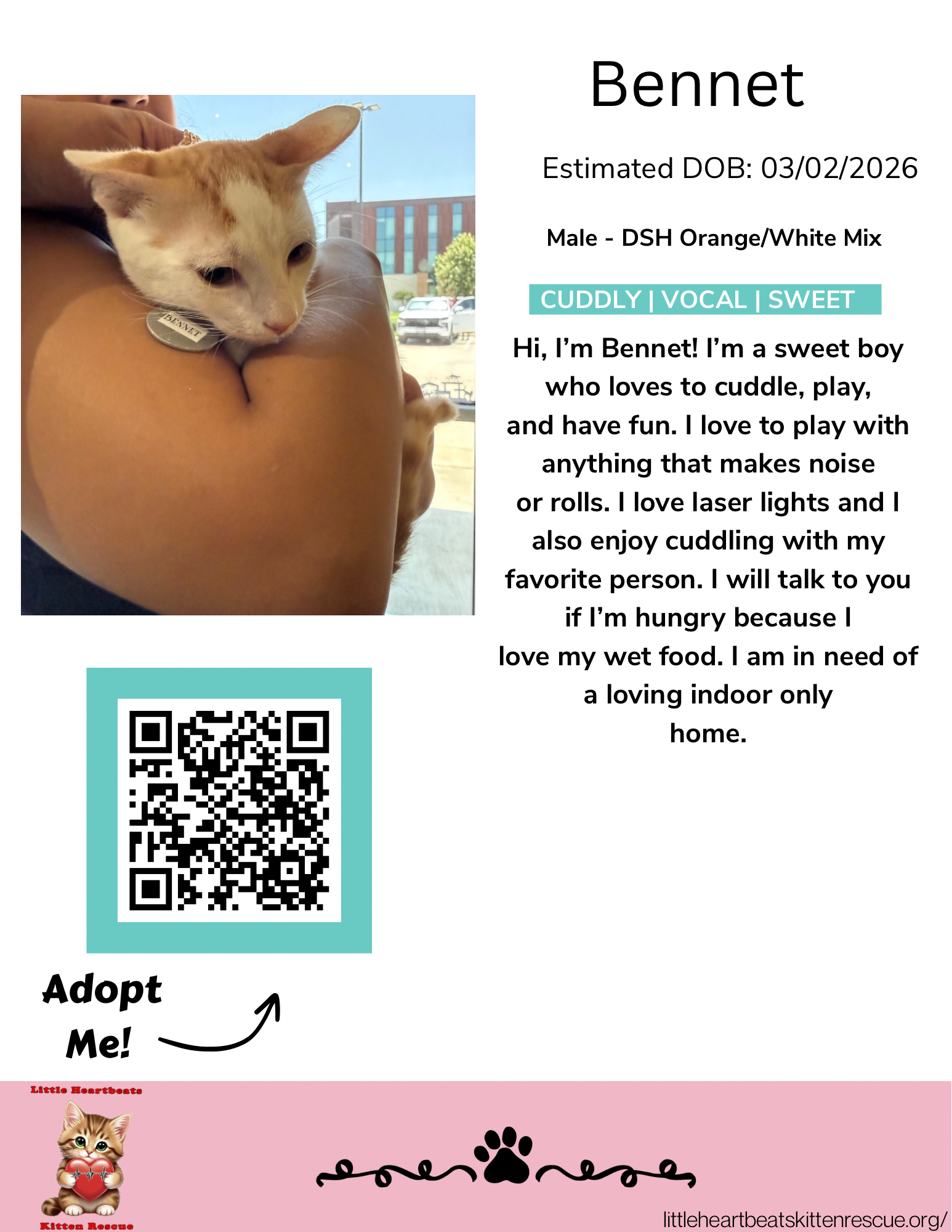 LHK_Cat Lounge Bios - Bennett.png