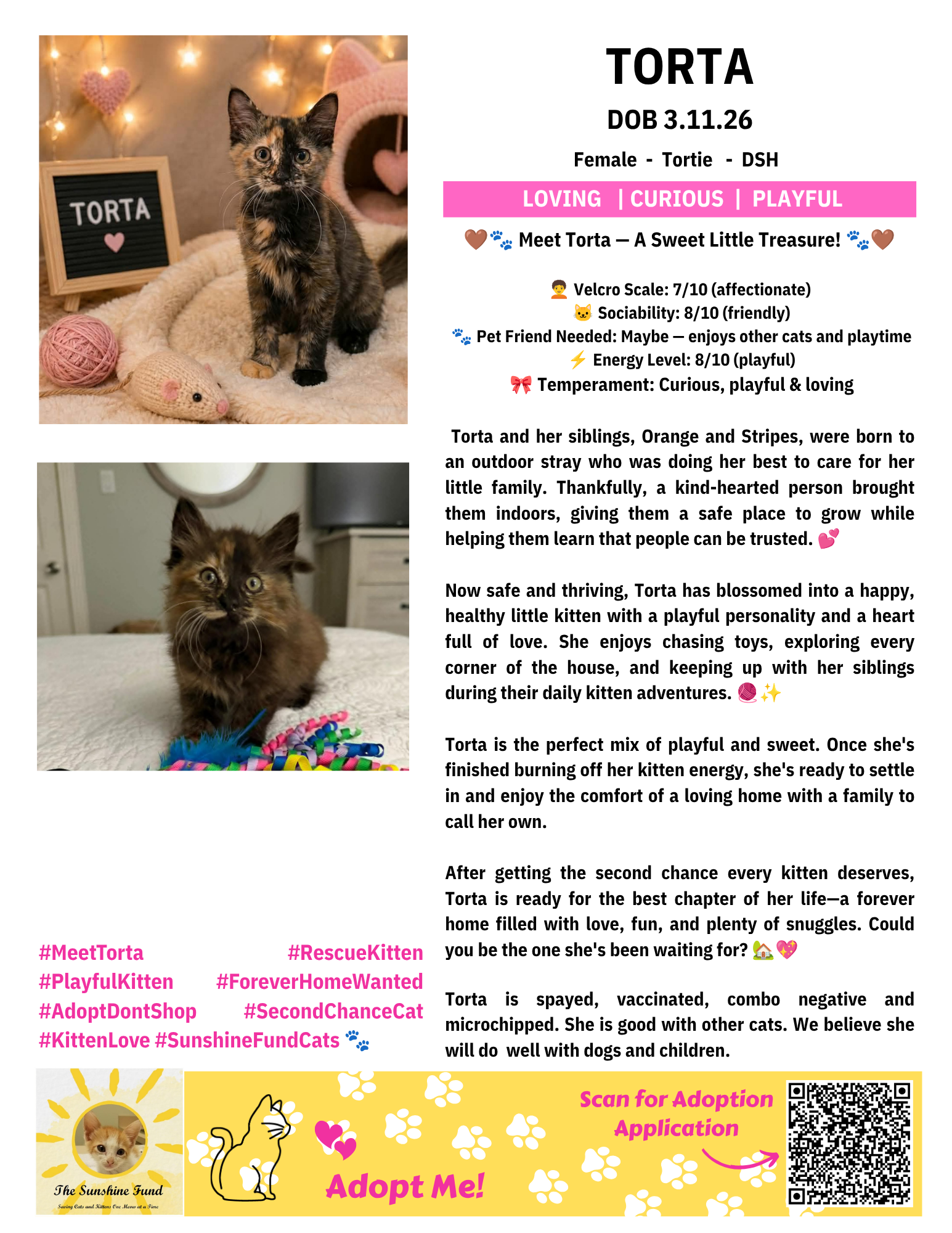 OFFICIAL_Cat Bios for Lounge_TSF - Torta.png