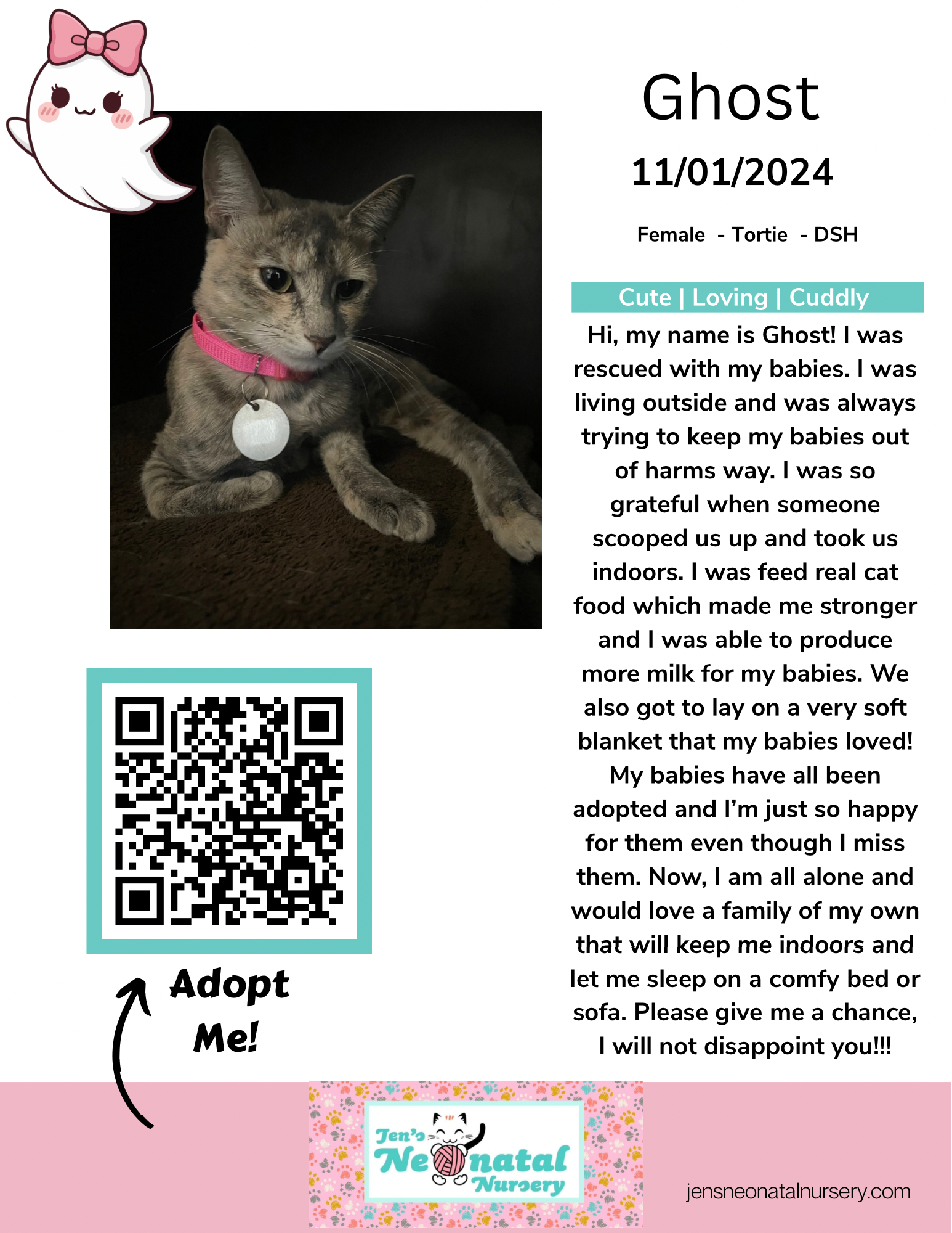 Cat Lounge Bios for JNN - 1.png