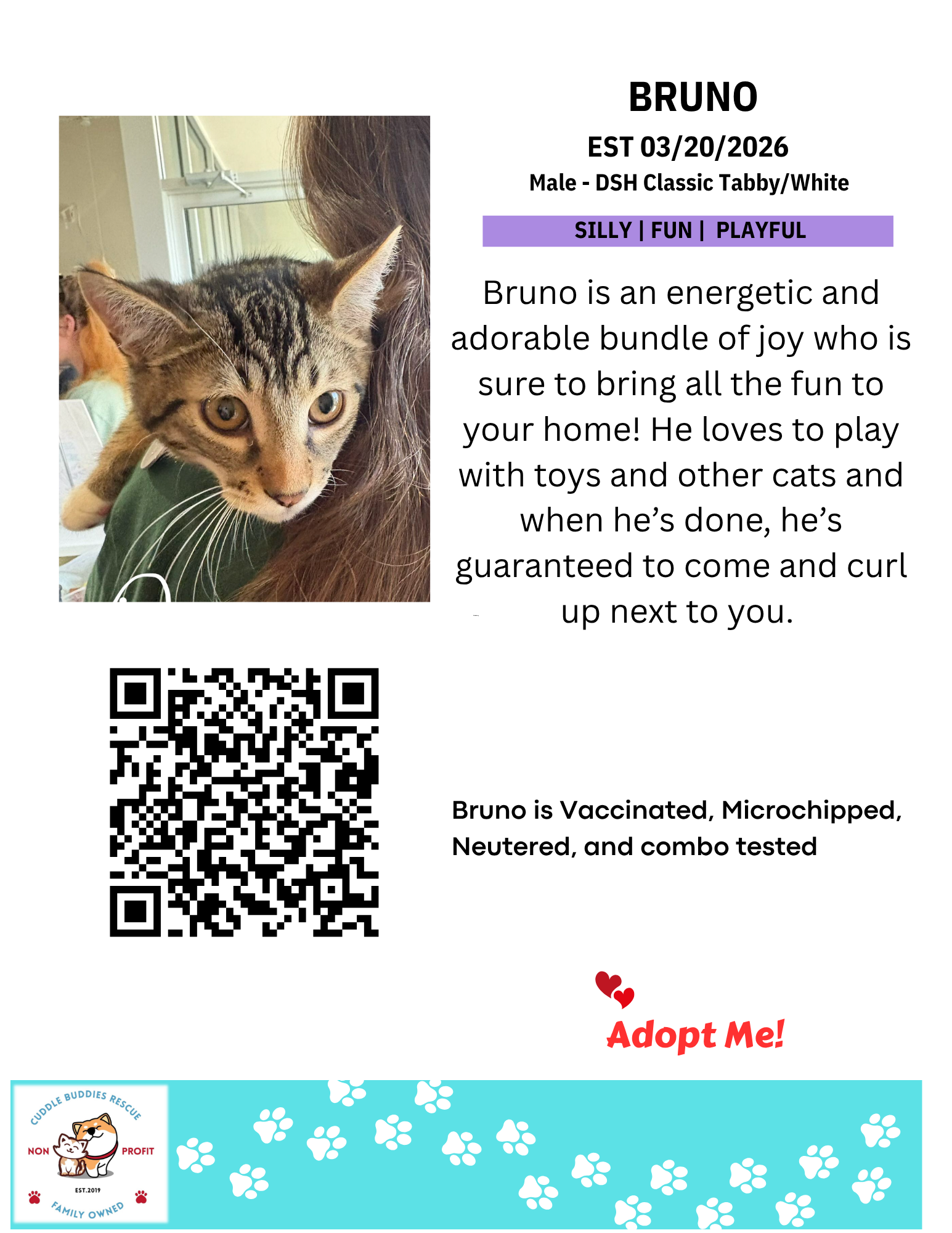 Cat Bios for CBR - Bruno.png