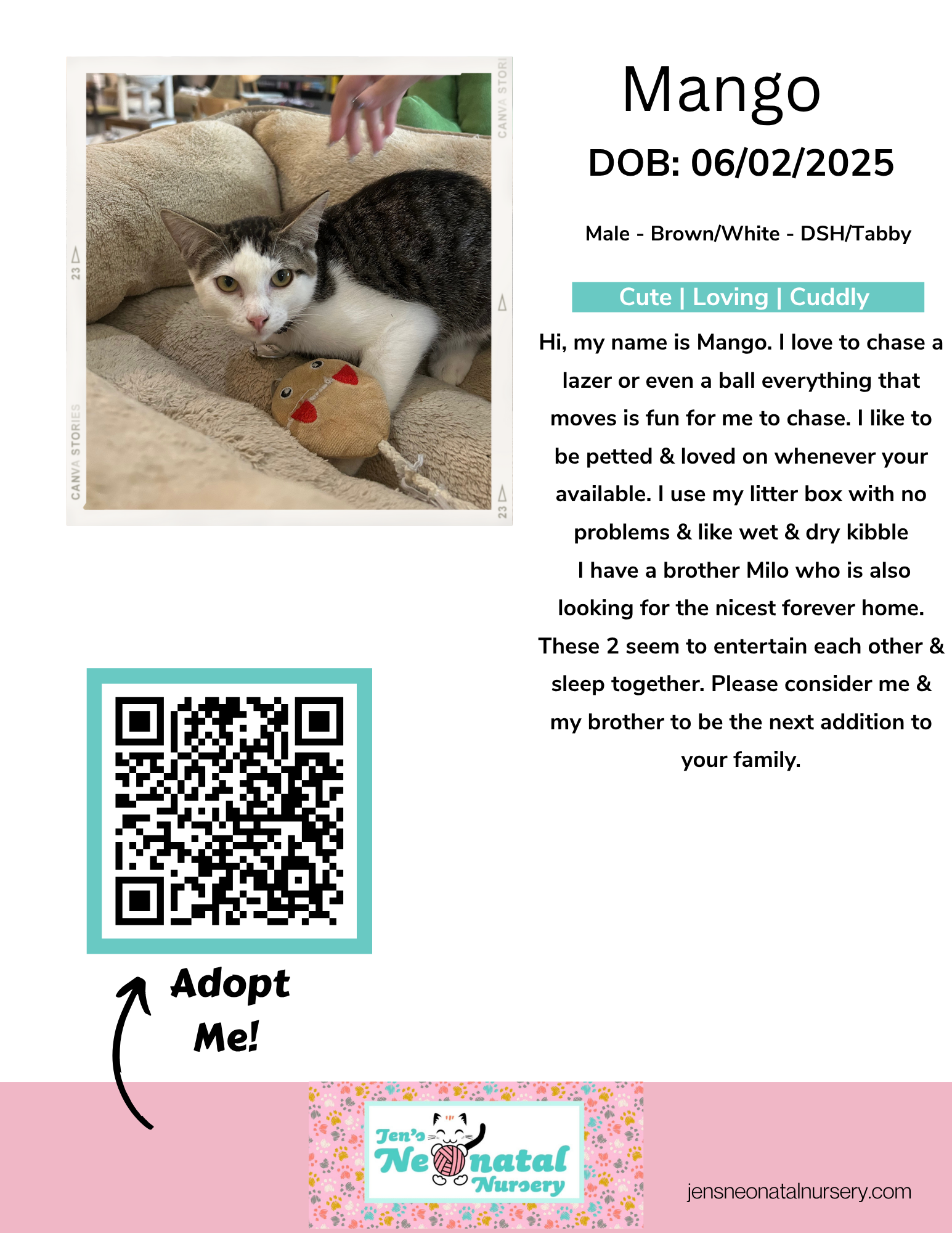 Cat Lounge Bios for JNN.zip - 3.png
