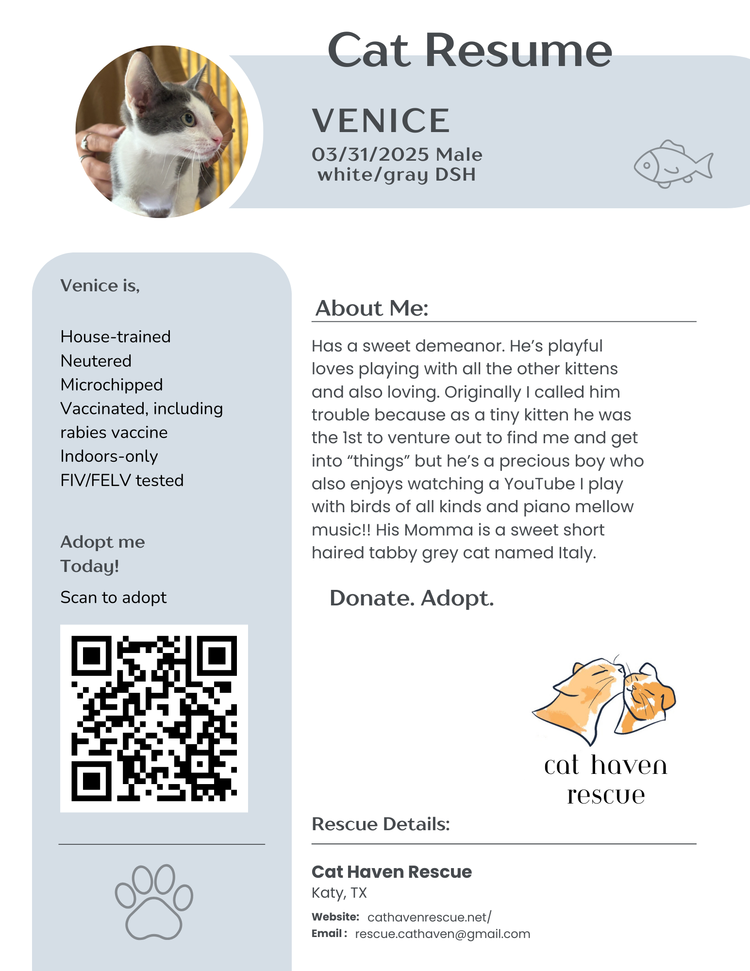 VENICE.png