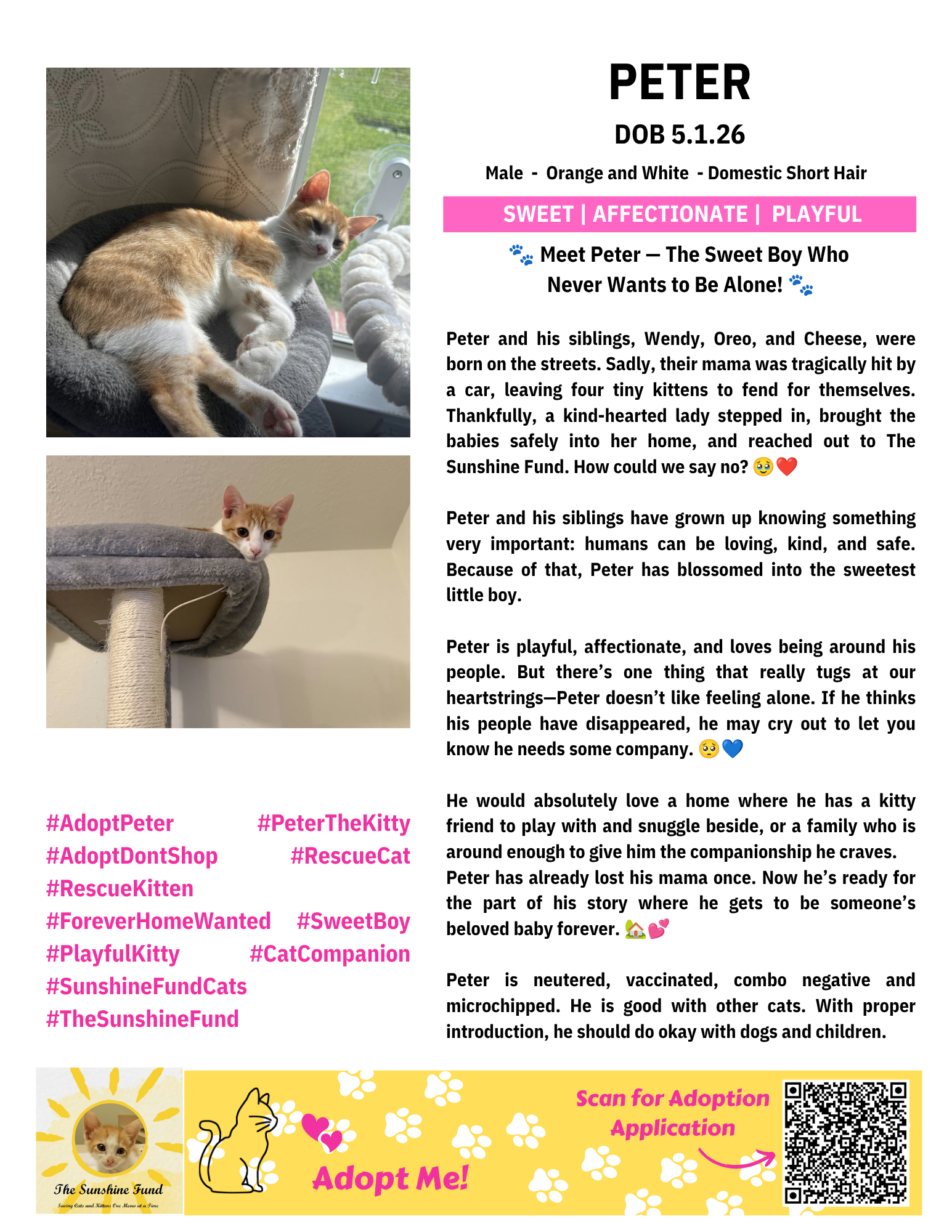OFFICIAL_Cat Bios for Lounge_TSF - Peter.png