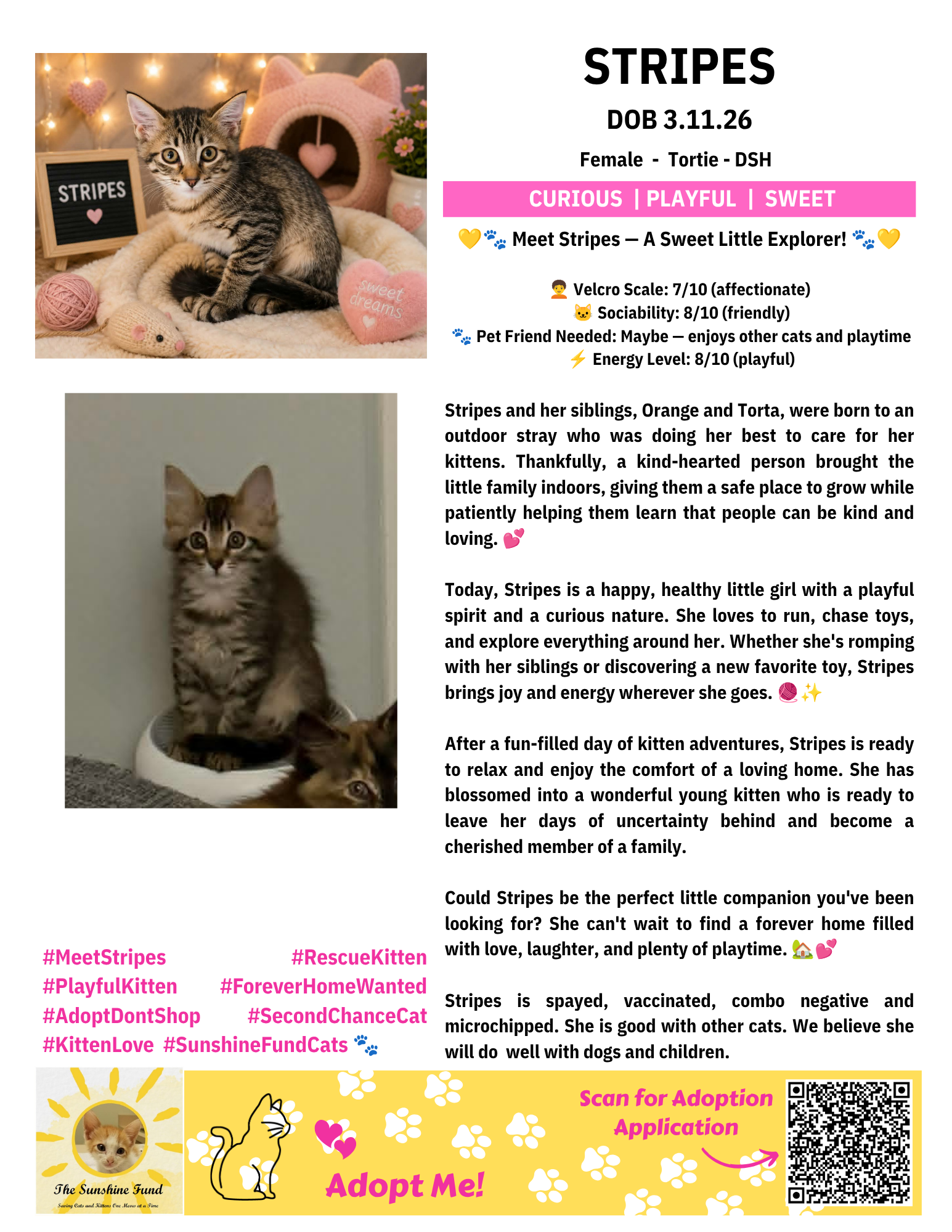 OFFICIAL_Cat Bios for Lounge_TSF - Stripes.png