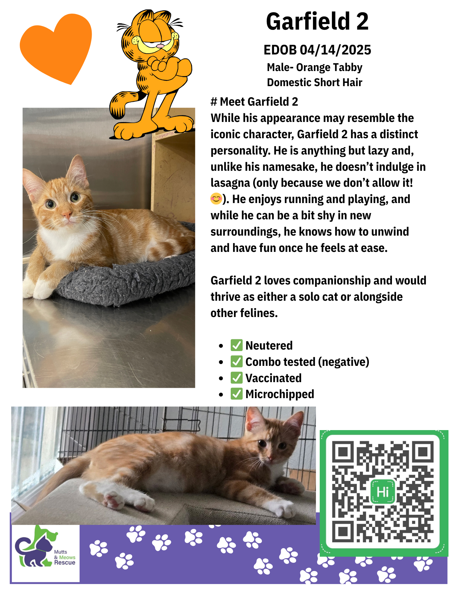 MMR Cat Bios for Lounge.zip - Garfield 2.png