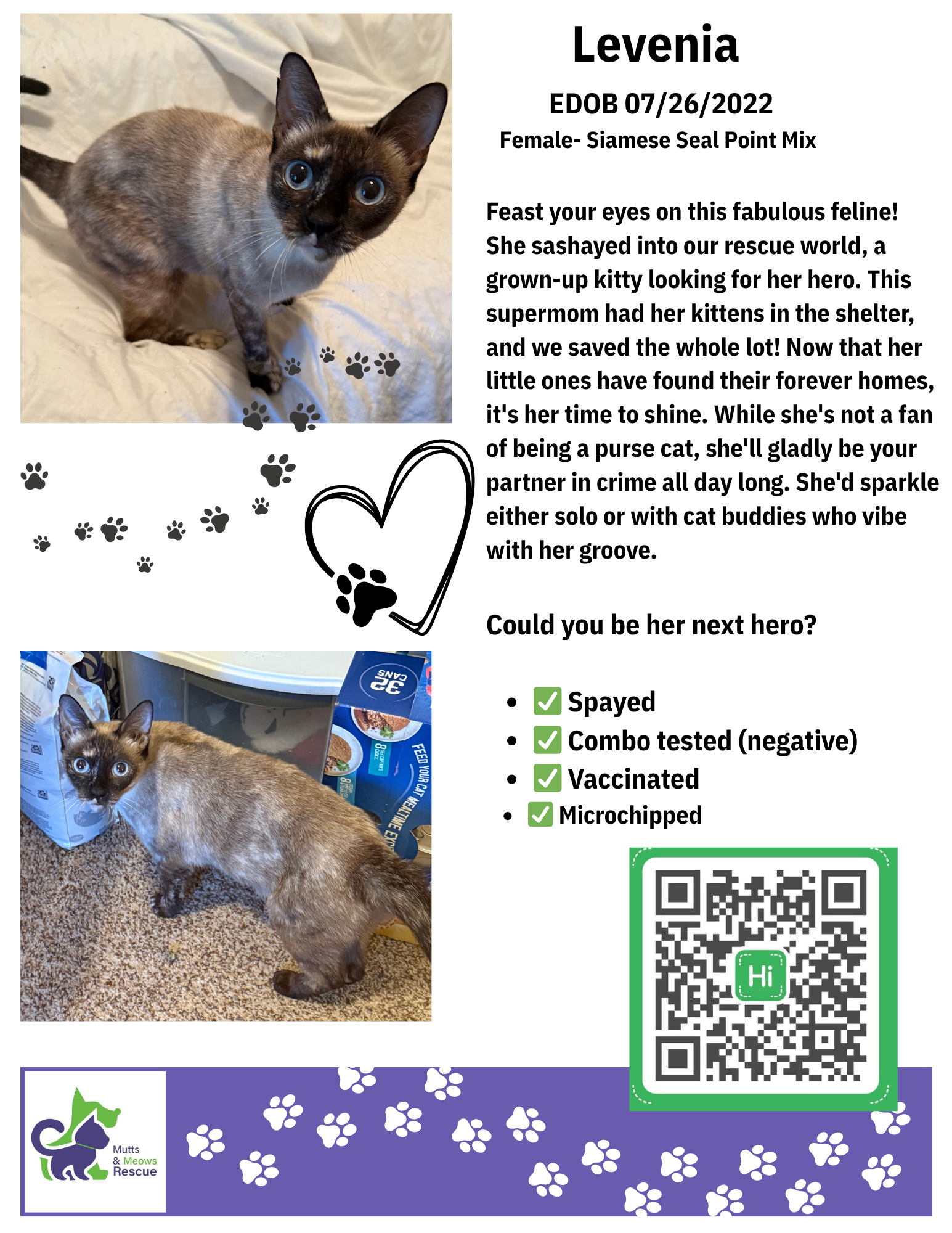MMR Cat Bios for Lounge.zip - Levenia.png