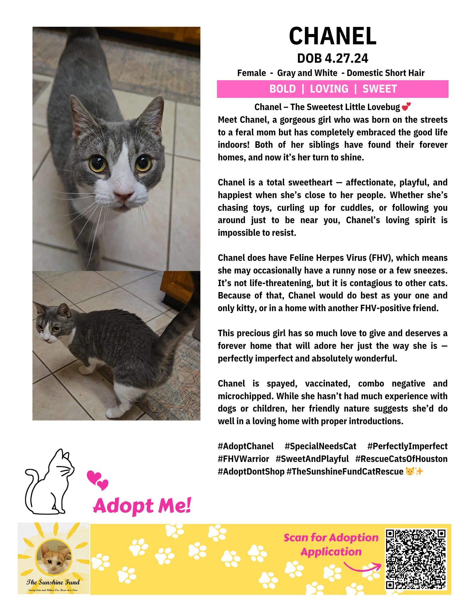 OFFICIAL_Cat Bios for Lounge_TSF.zip - Chanel.png