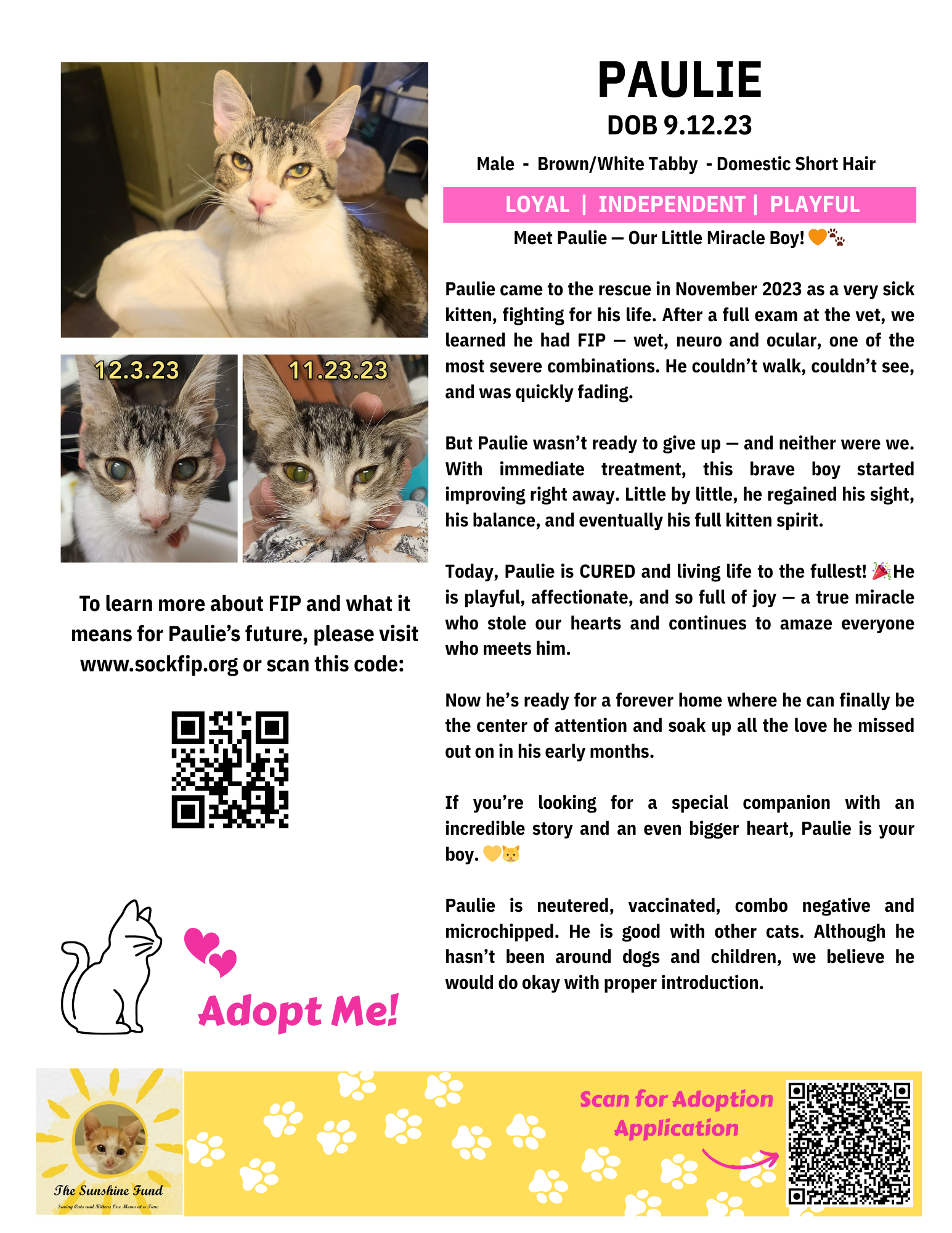 OFFICIAL_Cat Bios for Lounge_TSF - Paulie.png